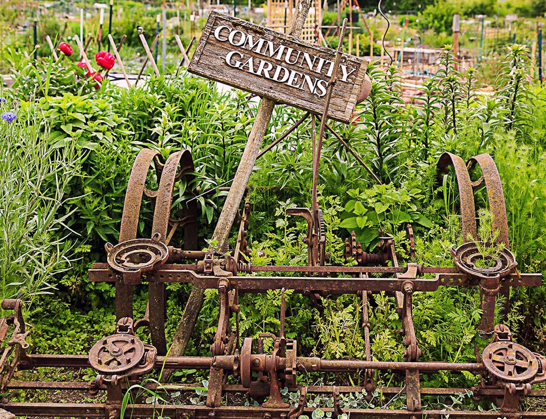 Sign saying, "Community Gardens" embedded in a rustic tractor frame, with various herbs and flowers growing in a garden in the background.