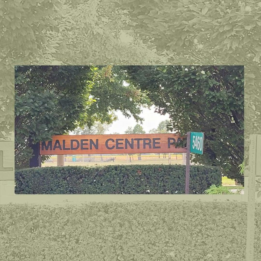 Bushes surrounding Malden Centre Park wooden sign