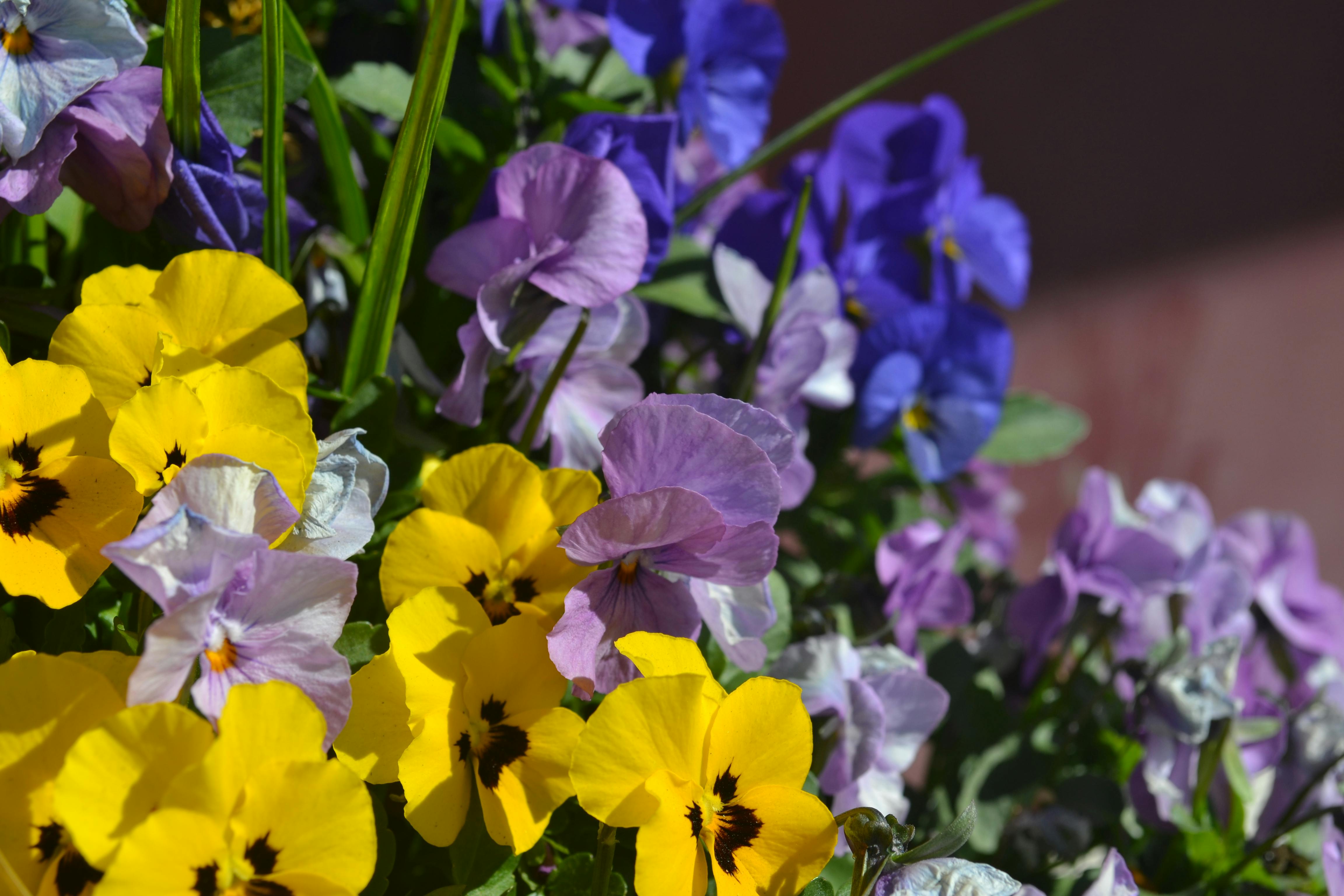 A Small World Full of Happiness