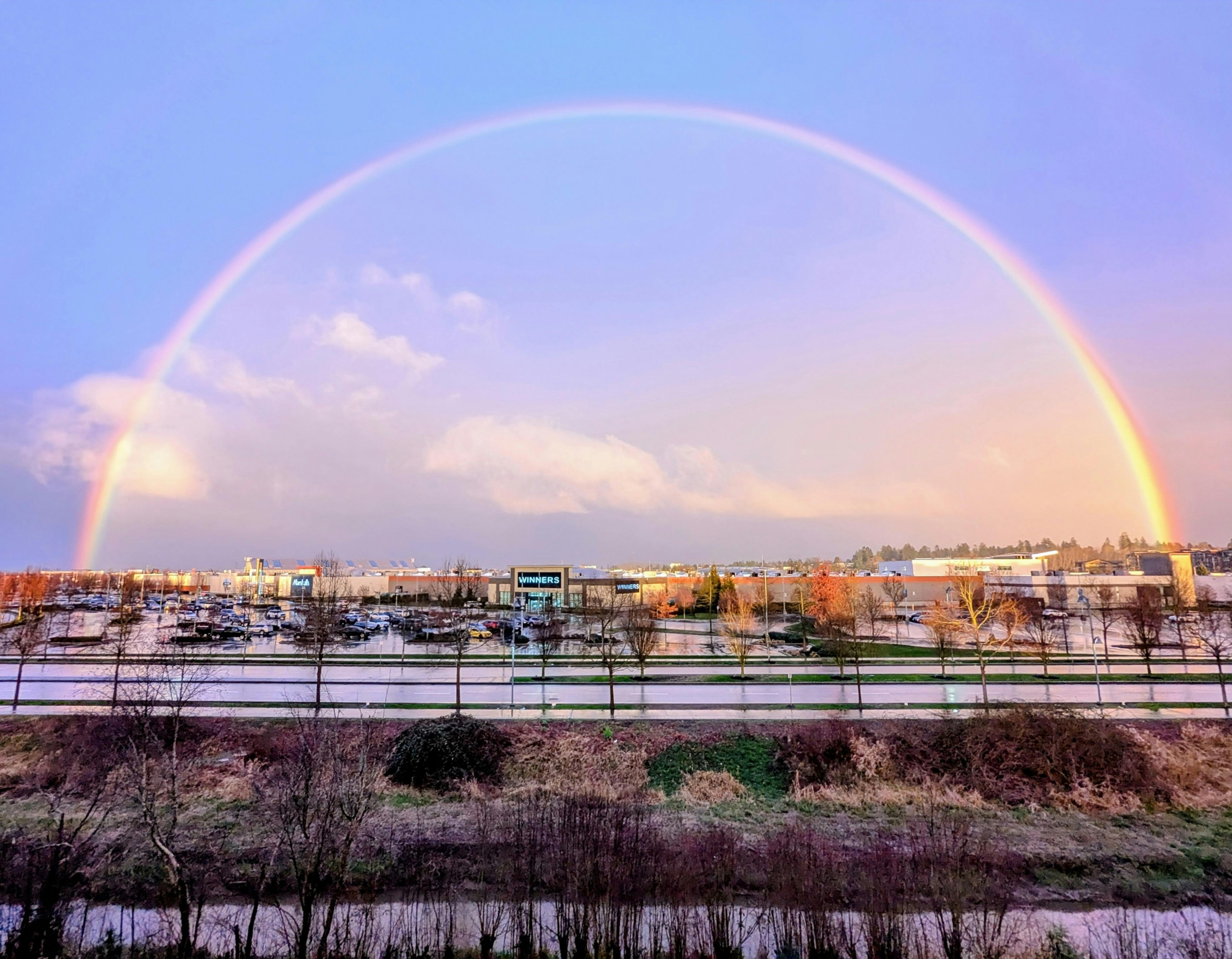 Hossein Motallebi - Adult