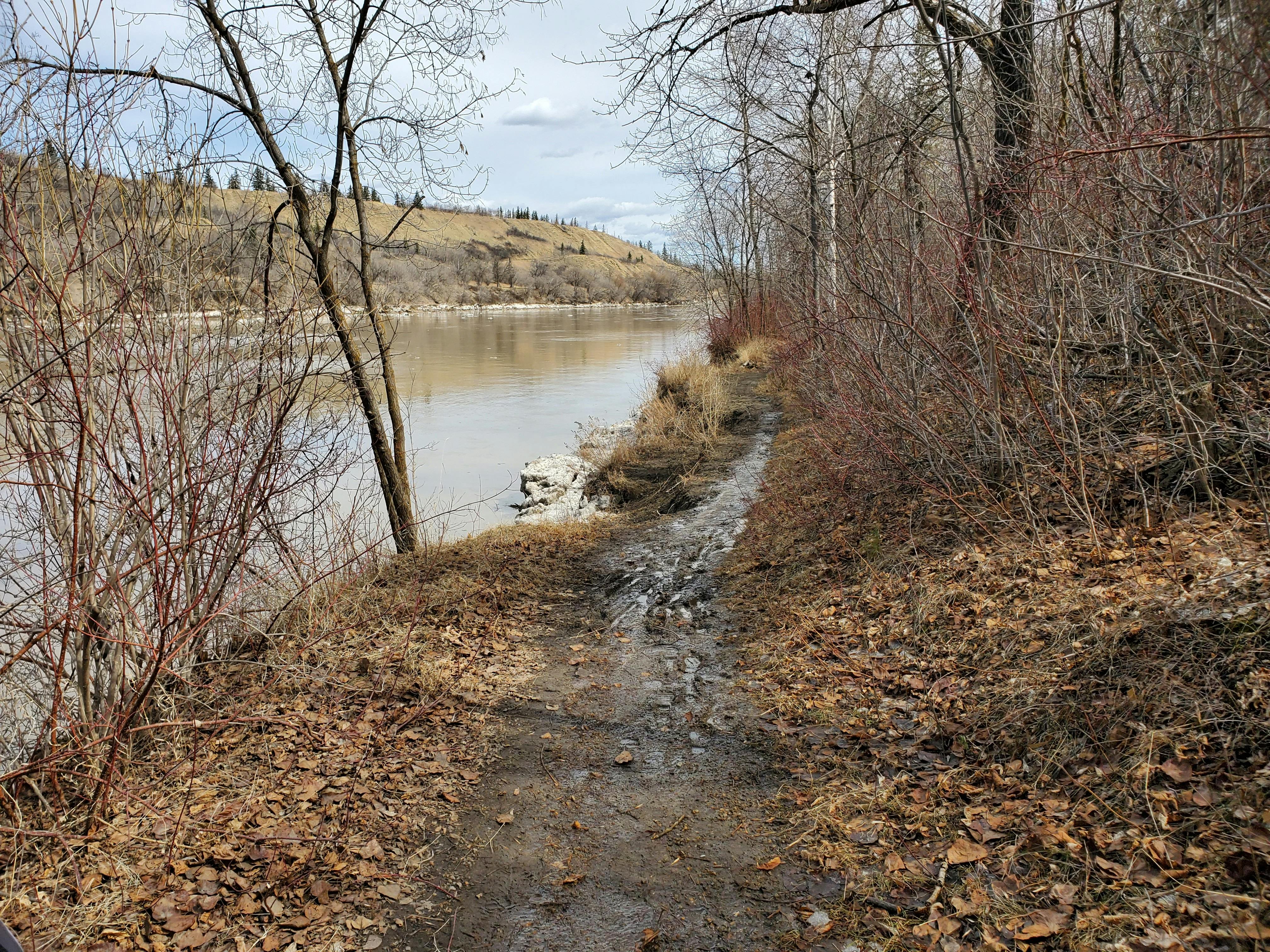 Condition of Existing Trail - 3.jpg