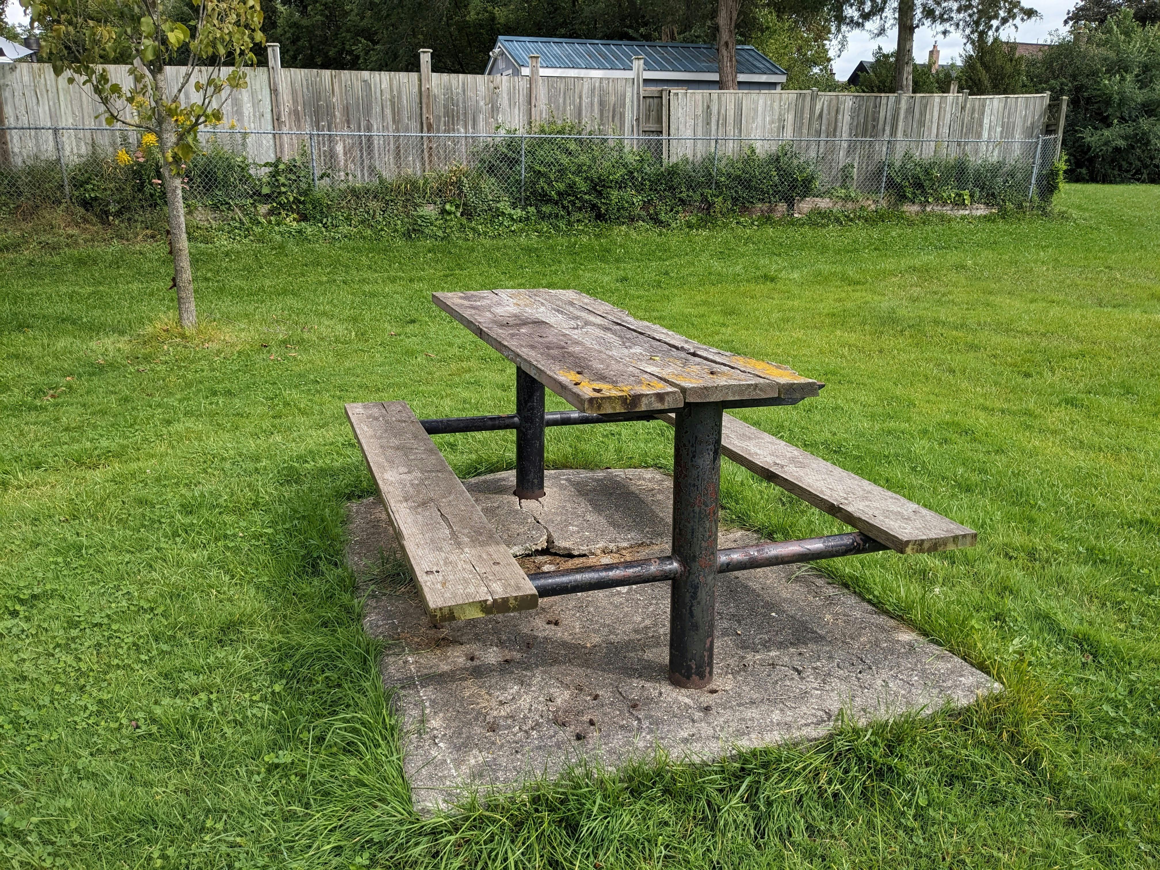 The existing picnic table in Murray Park.
