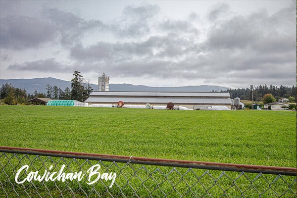 CowichanBay.jpg