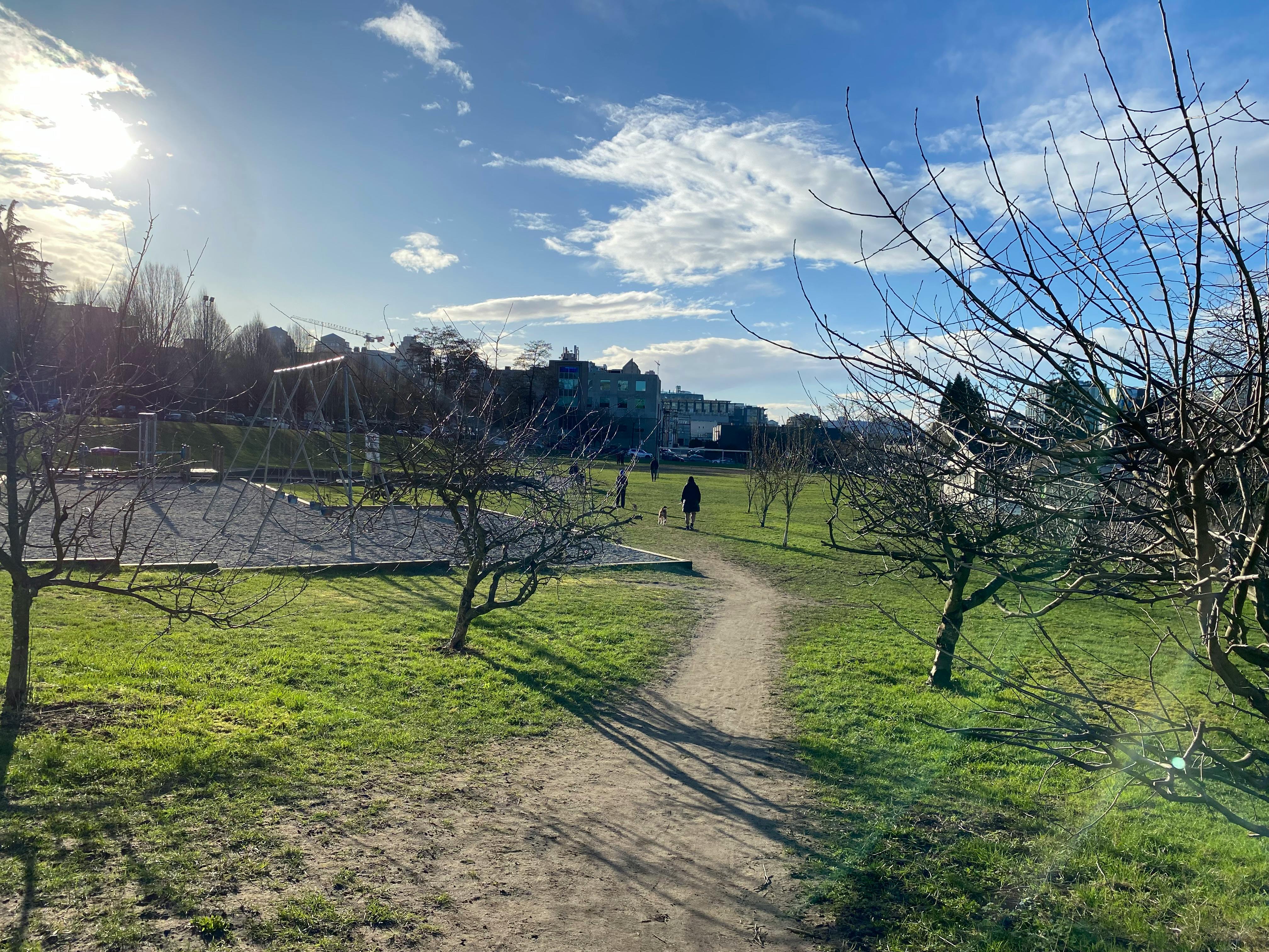 Inaccessible dirt pathway from Manitoba St heading west into the park