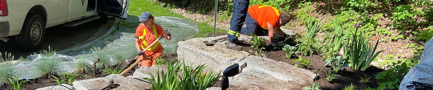 Image of City staff maintaining a City-owned flowerbed.