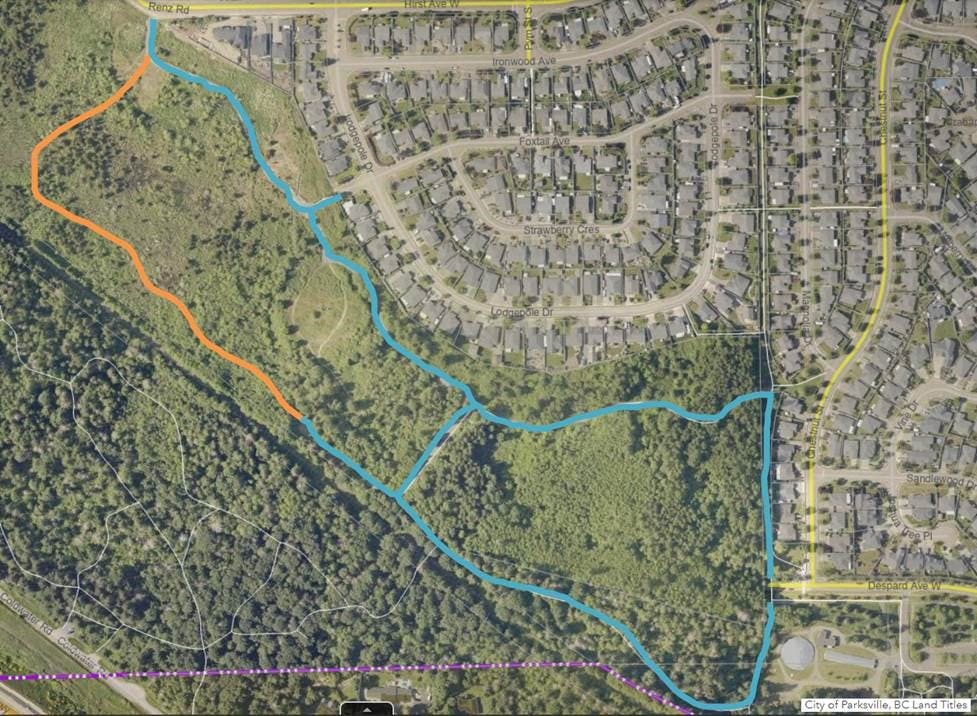 Parksville Wetlands - 790 Hirst Avenue