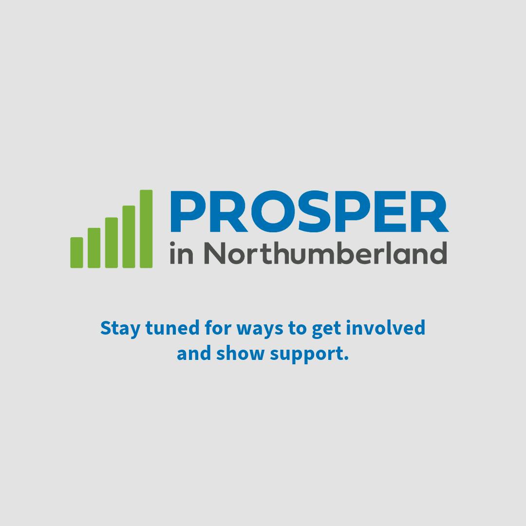 Team member, Prosper In Northumberland