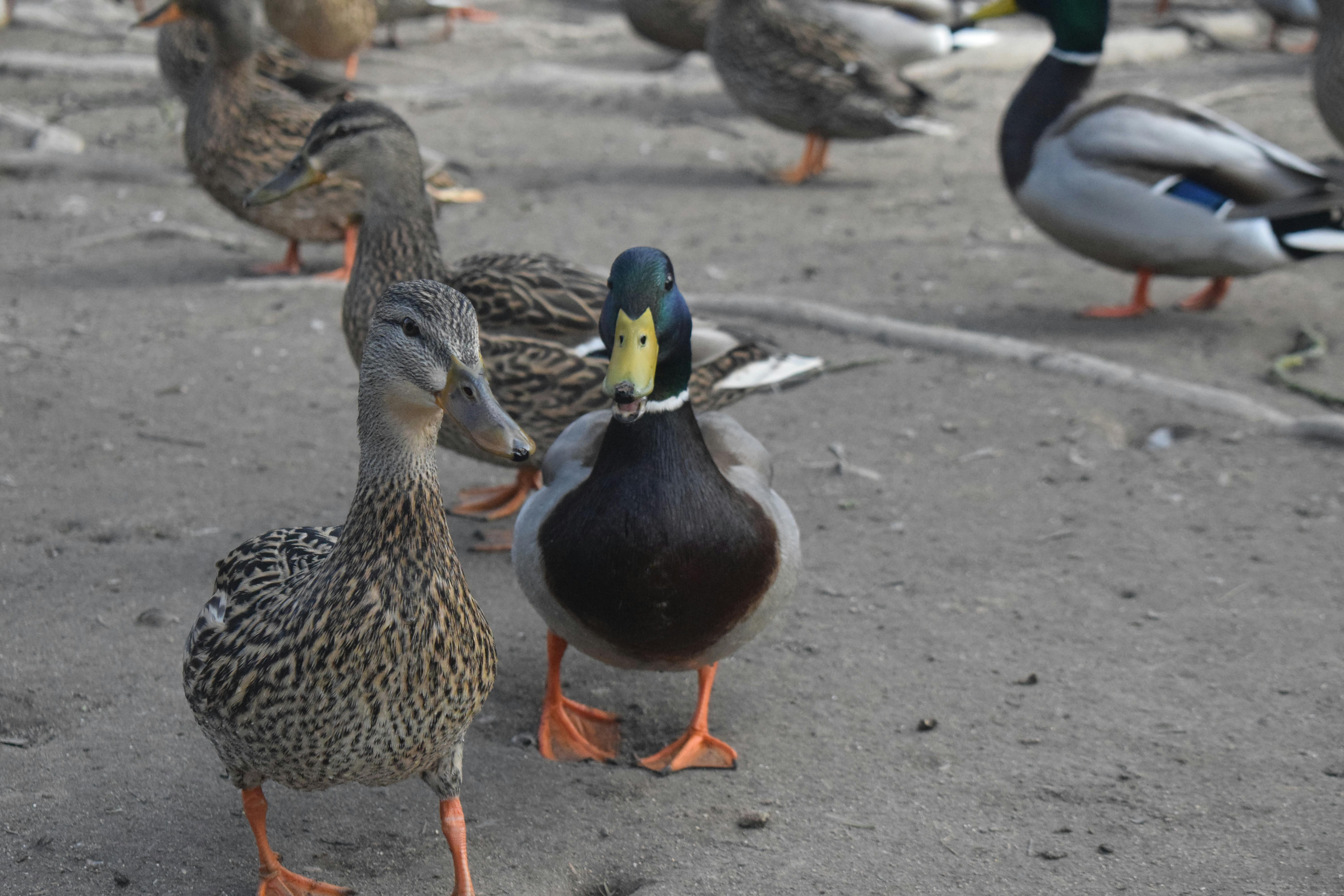 Lukas Waterman - Youth