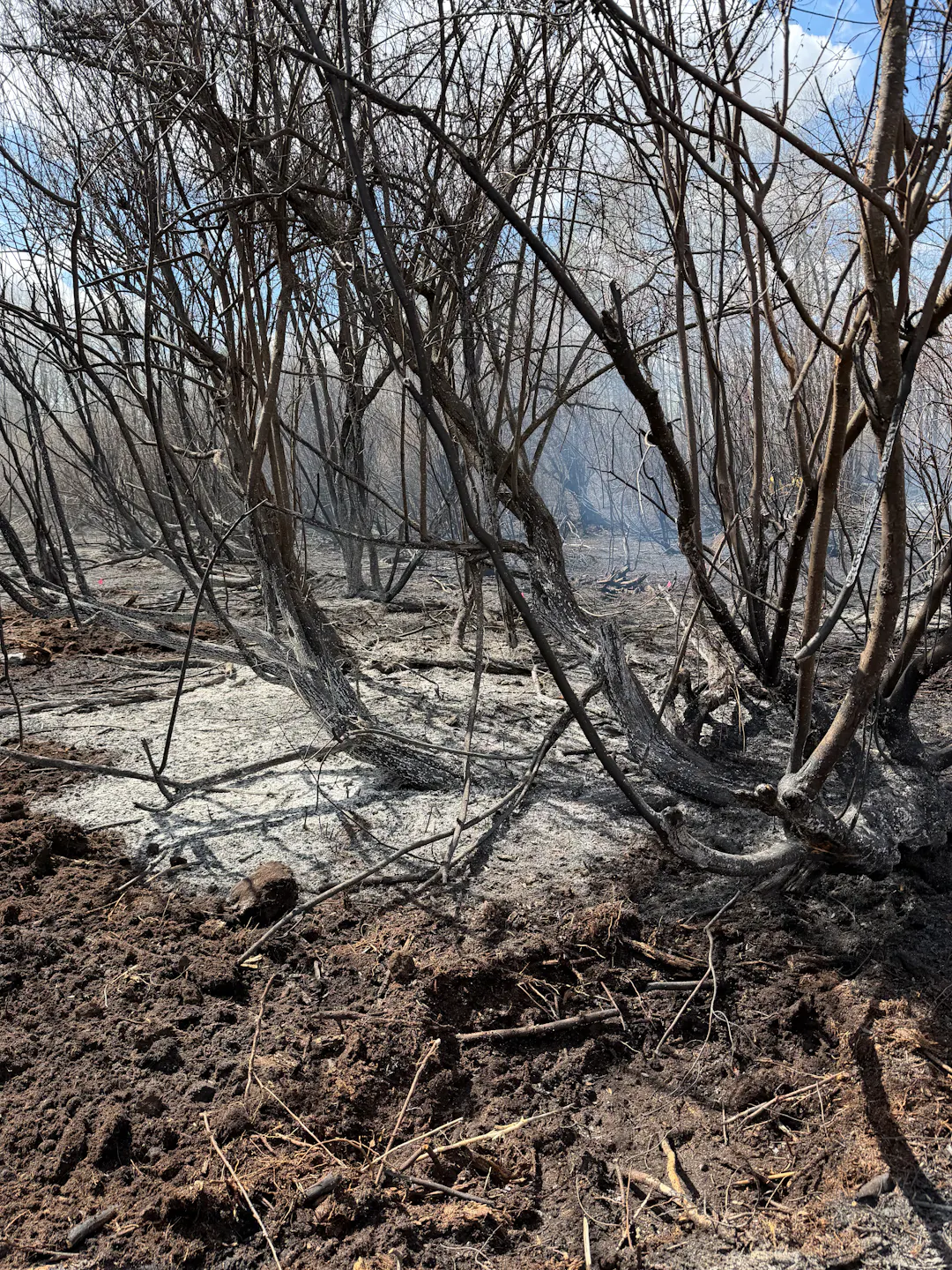 Beau Rand fire, Parkland County