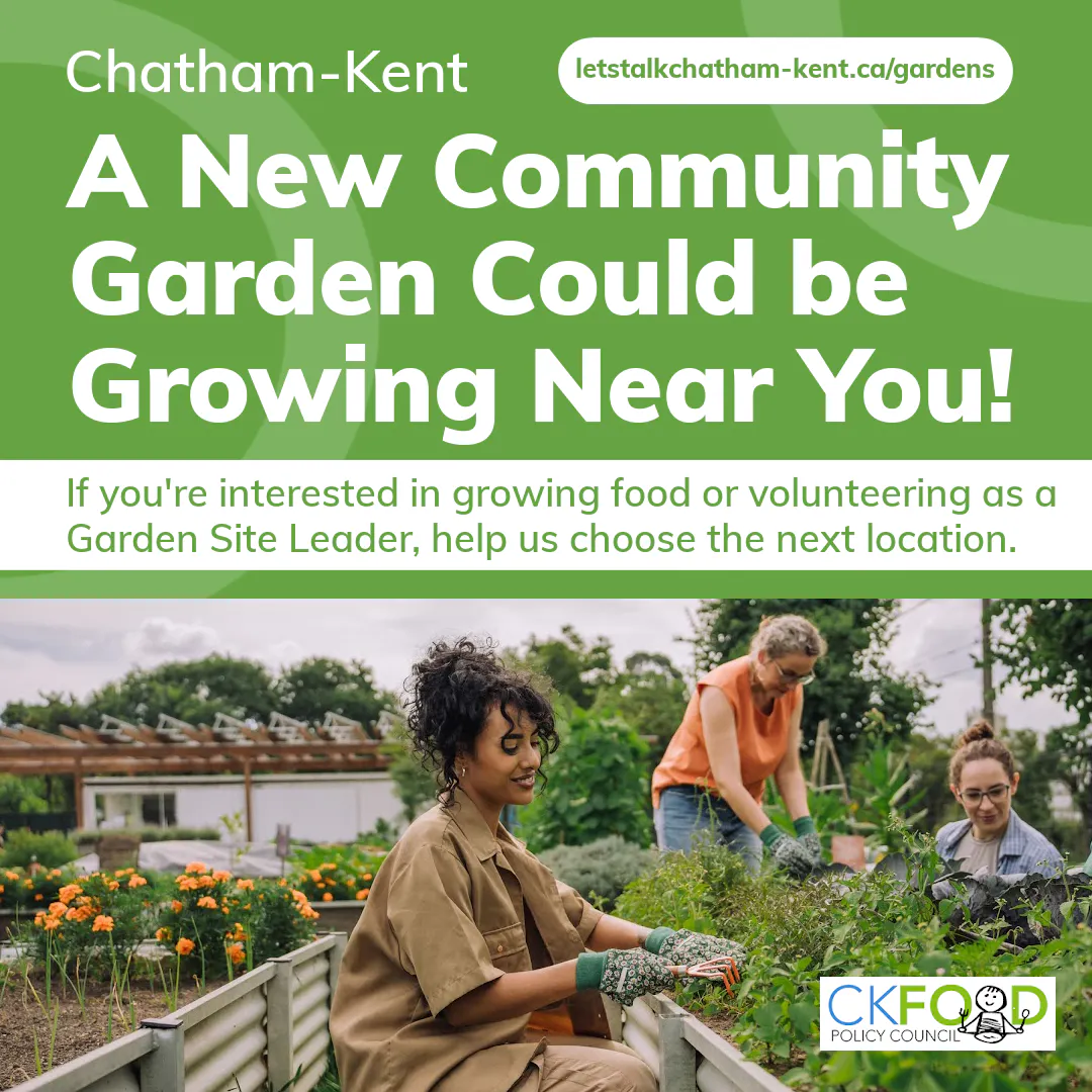 Residents Invited to Help Select New Community Garden Location | Let's ...