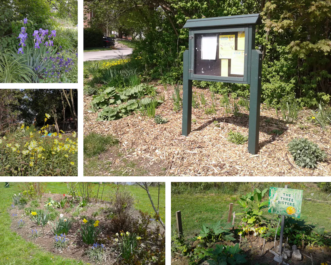 Images of London St. Community Garden