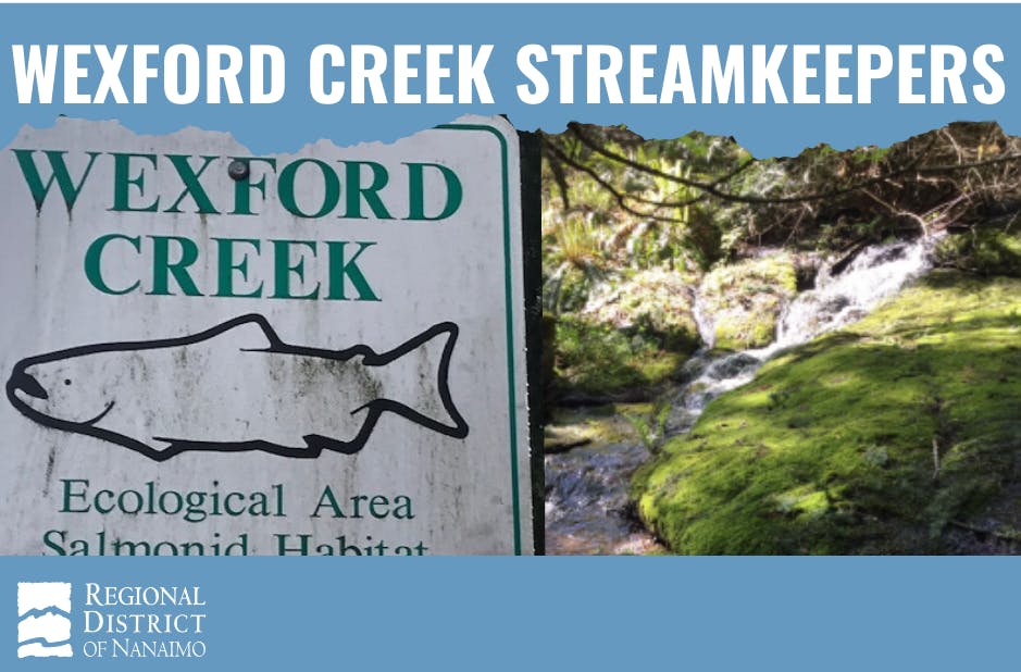 Wexford Creek Streamkeepers 