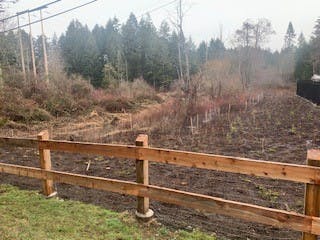 Site Restoration
