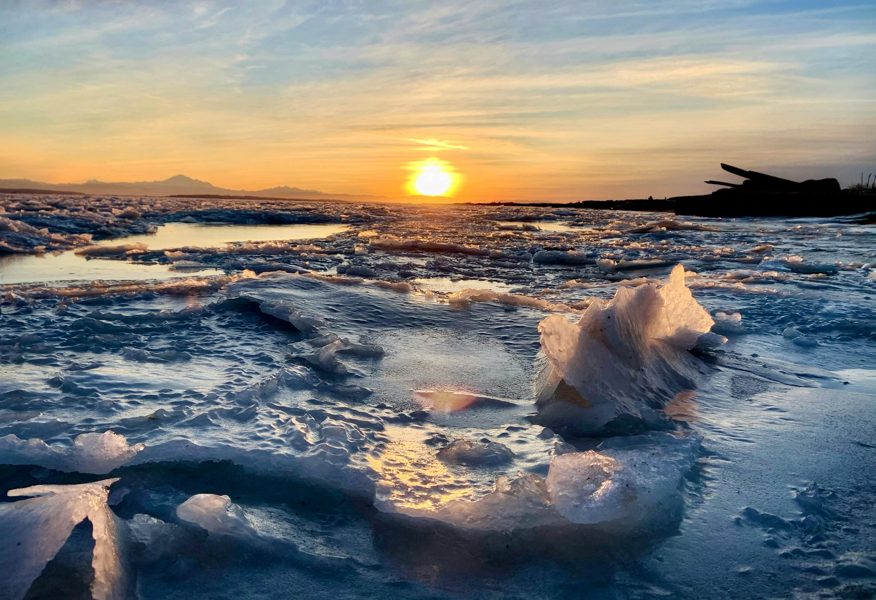 Margaret Wong - Adult