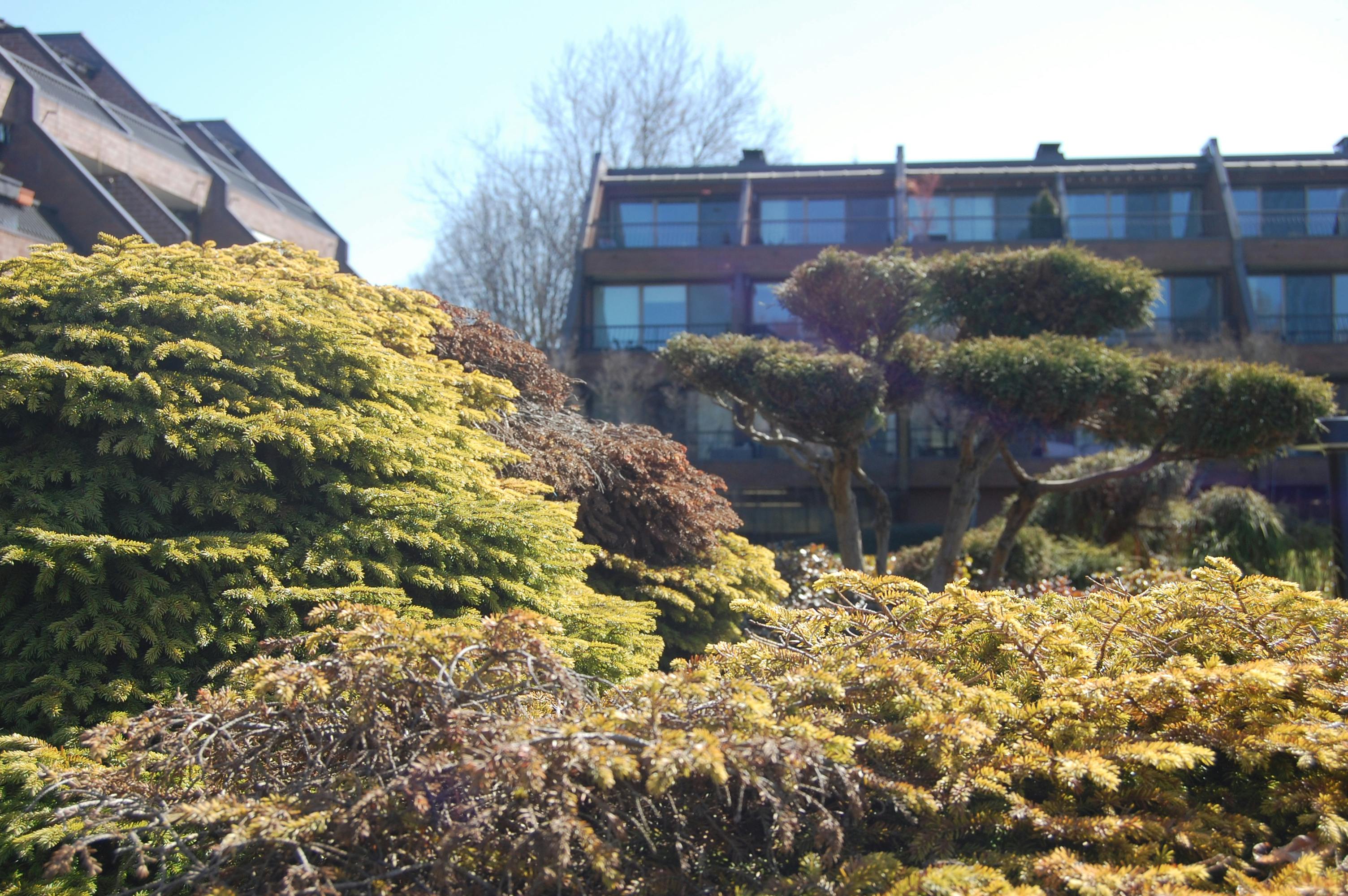 Living Within Nature