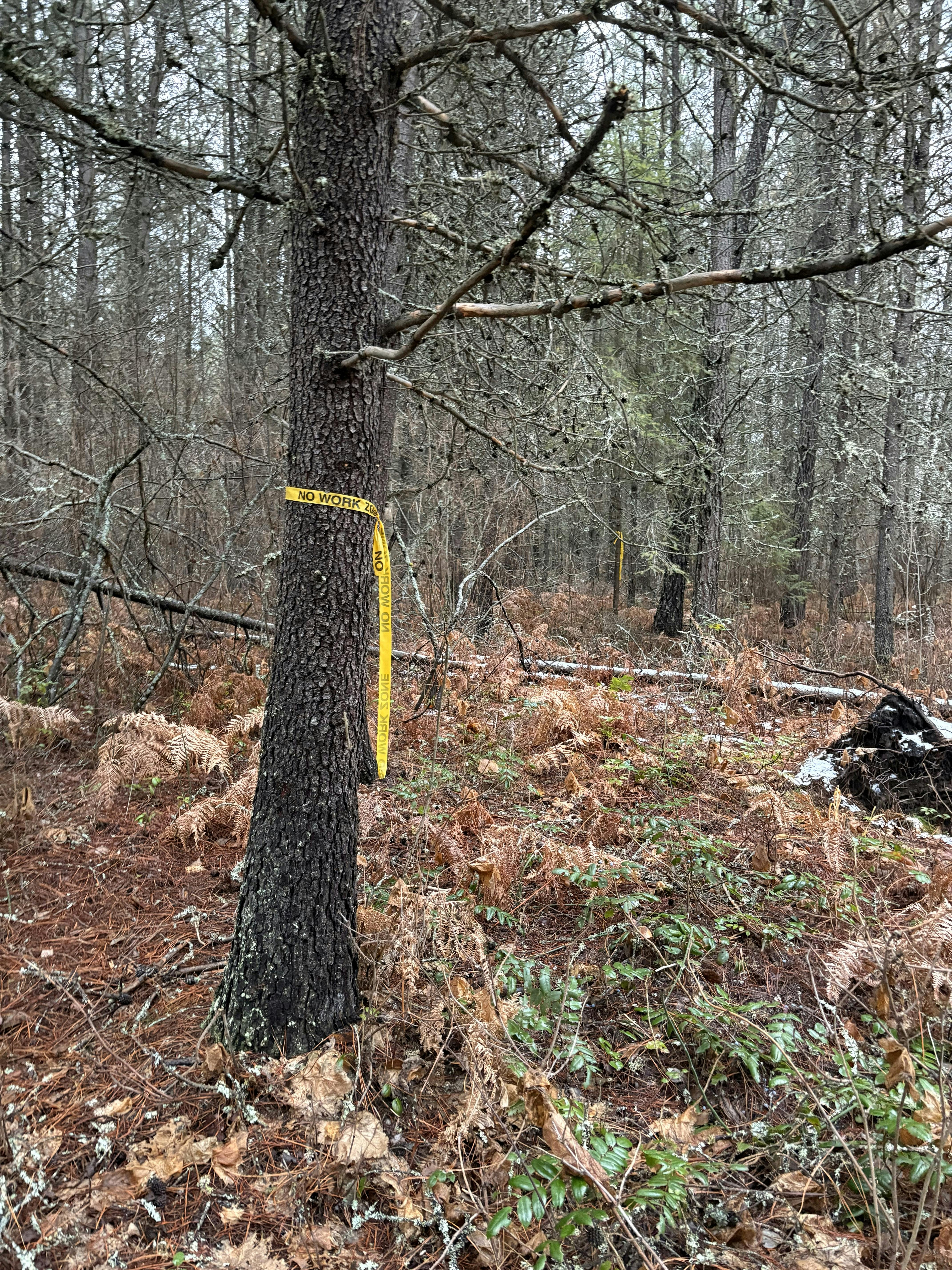 2025.12 No Work Zone.jpeg