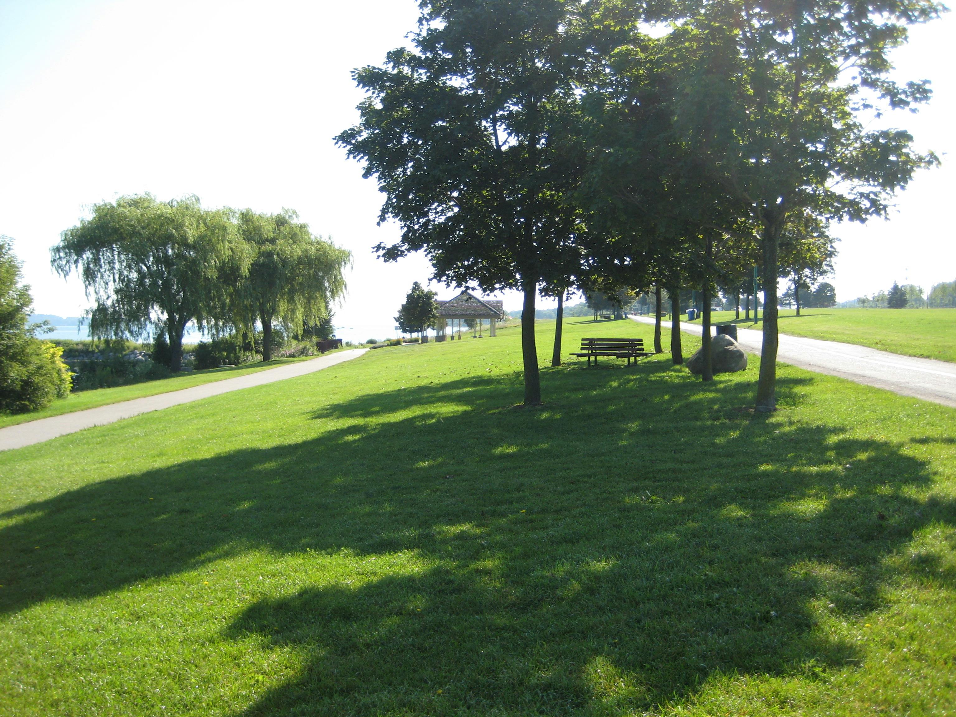 Central area: South Shore Park