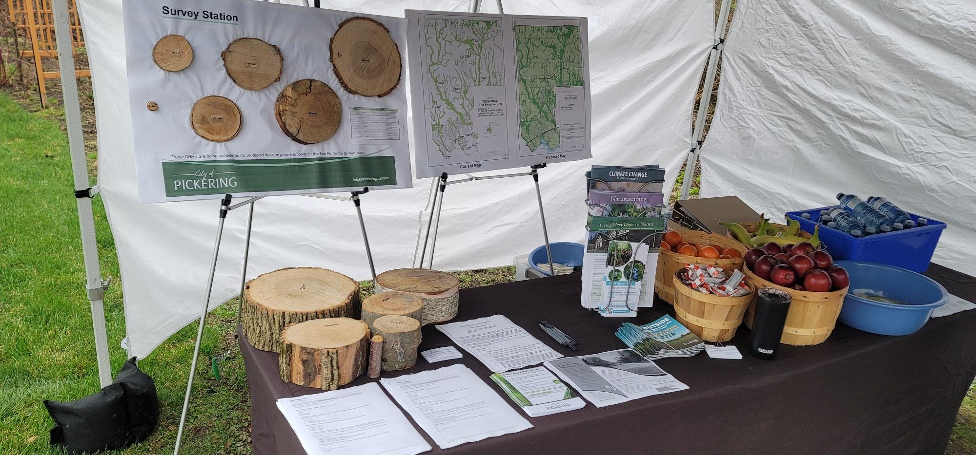 Take Pride in Pickering Tree Planting