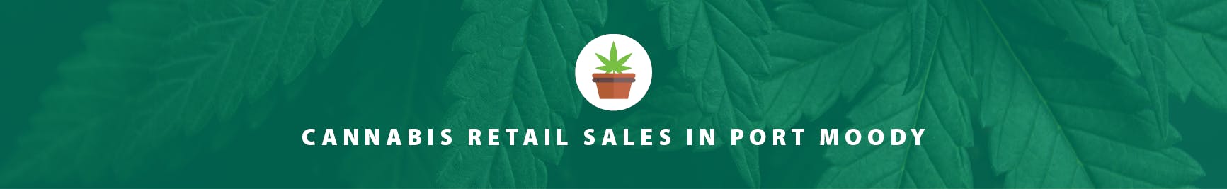 cannabis retail sales project banner