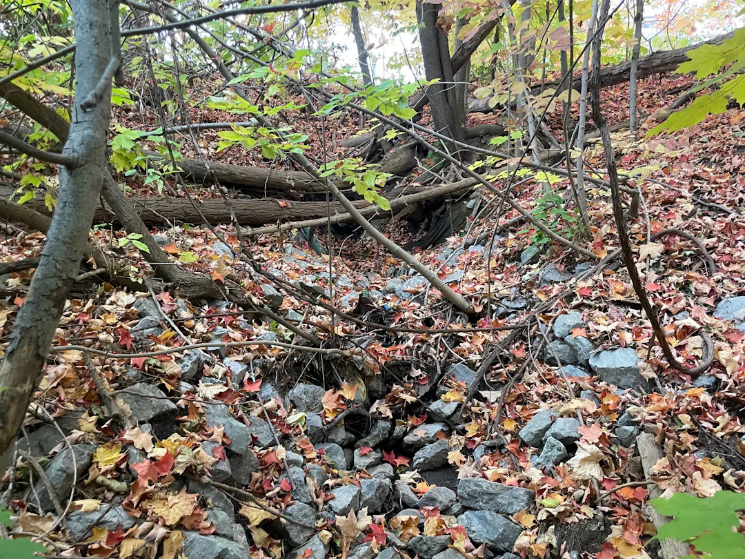 REQUIRED FIELD: Alt text description of the image that will be used for accessibility