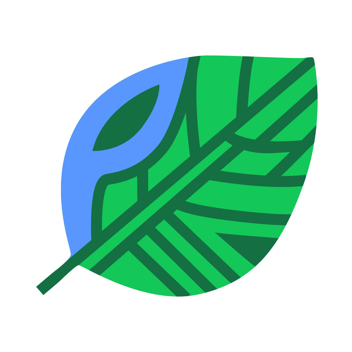 Team member, Community-Led Greening Initiatives and Gardening Program