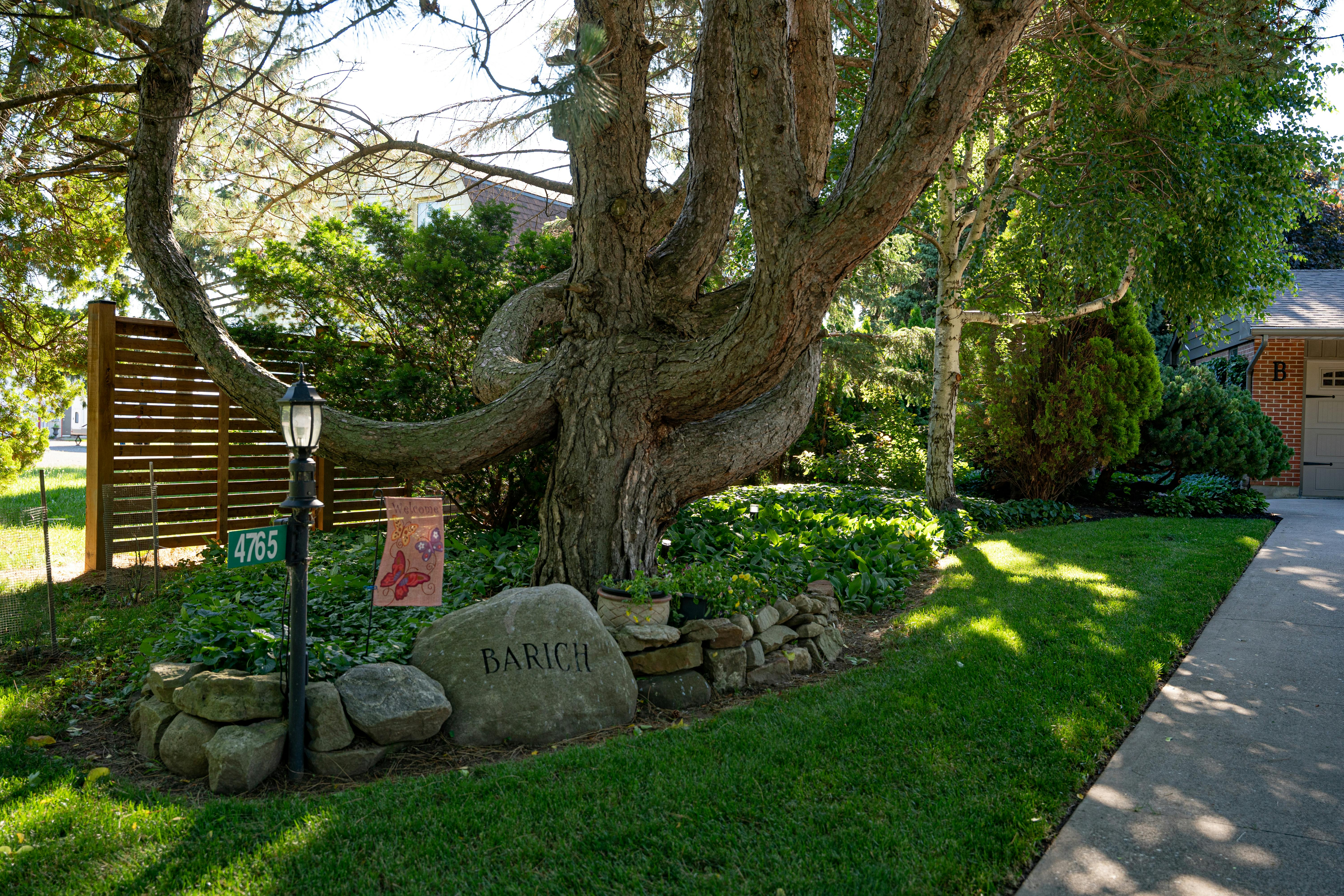  Lincoln in Bloom Garden Contest 2022 | Participant Photo 18