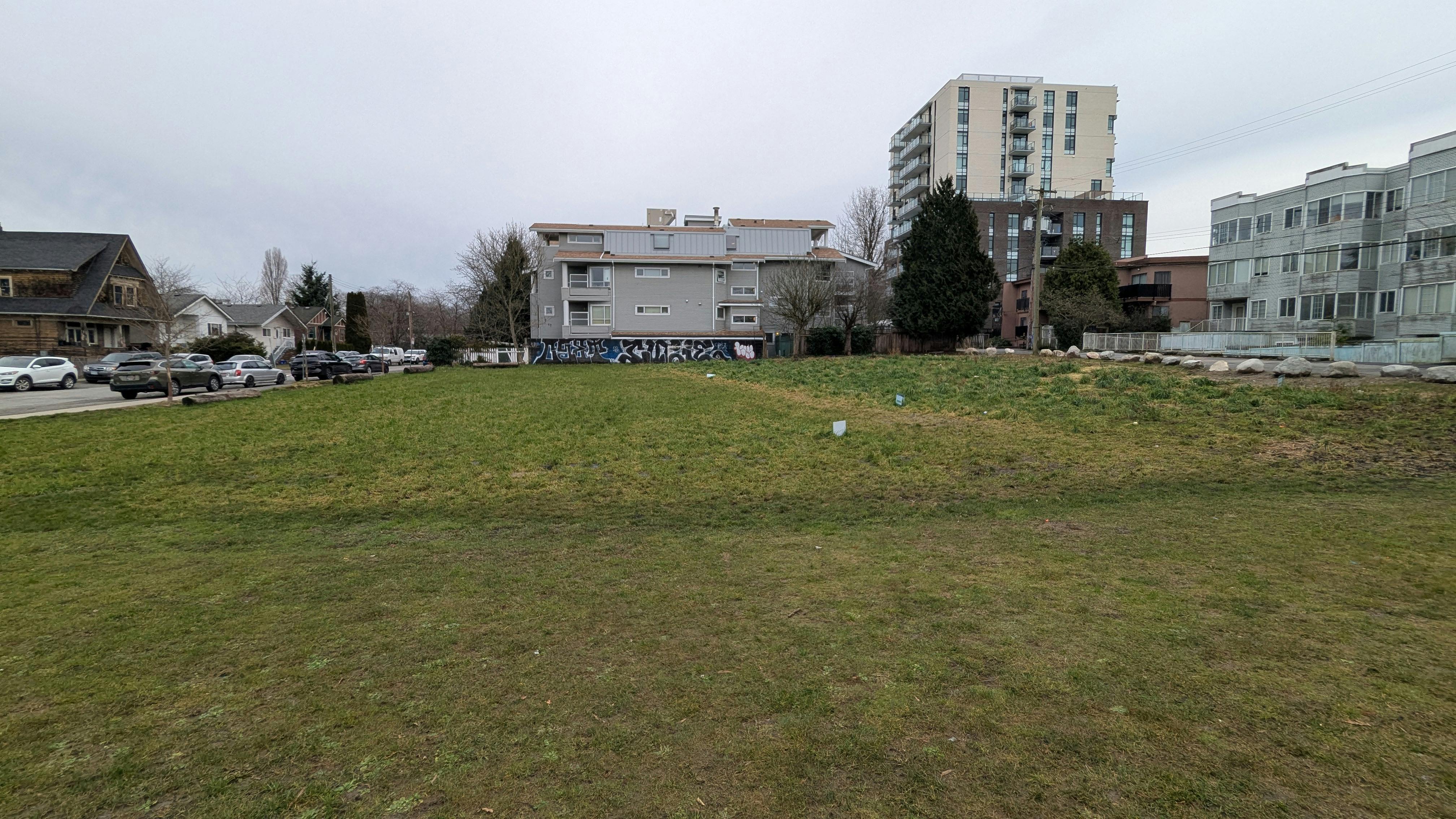 Image of an open meadow