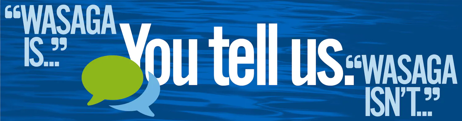 project banner
