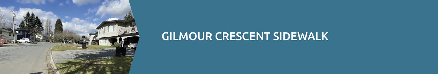 project banner