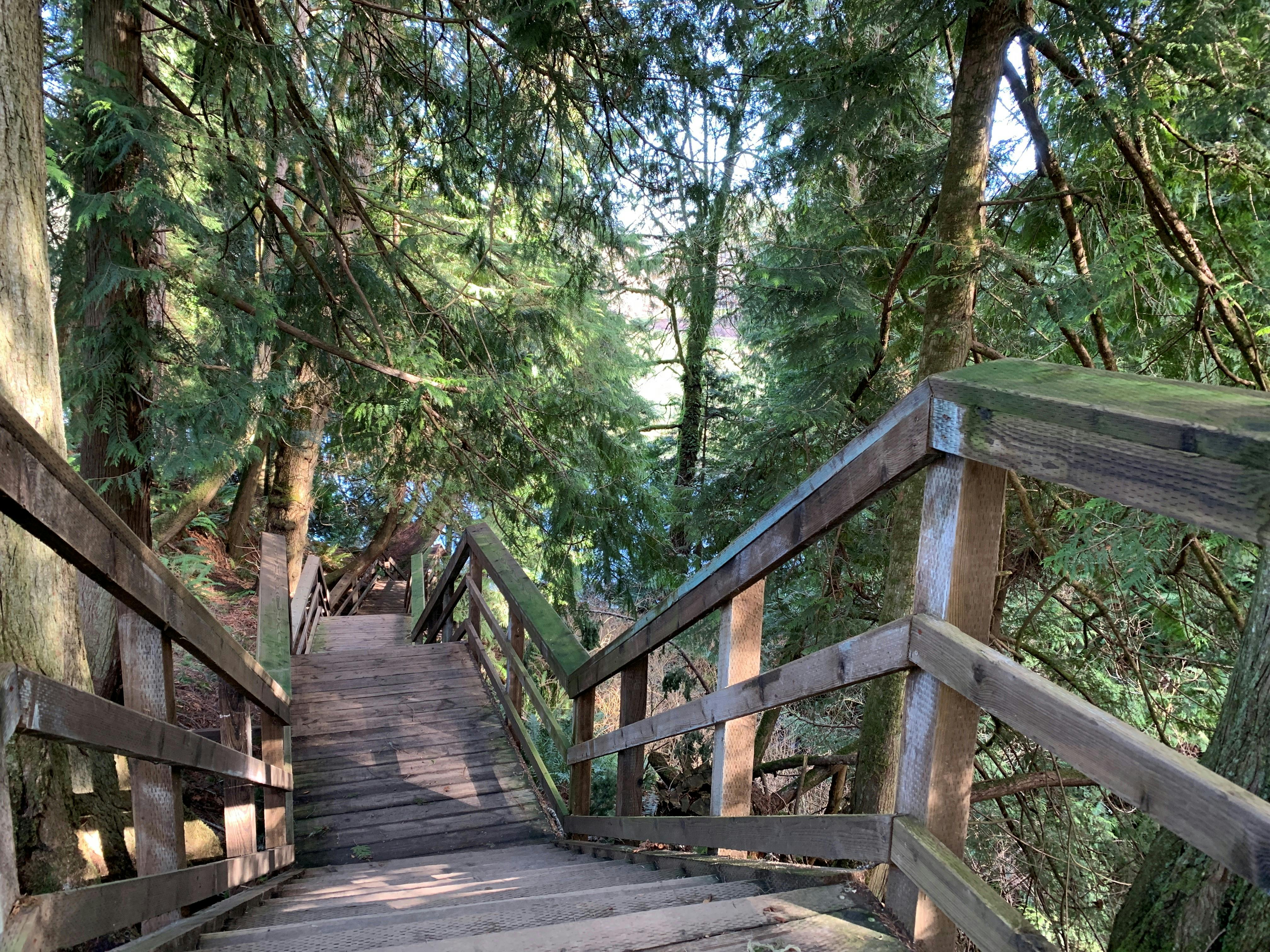 Sunriver Natural Trail - staircase.jpg