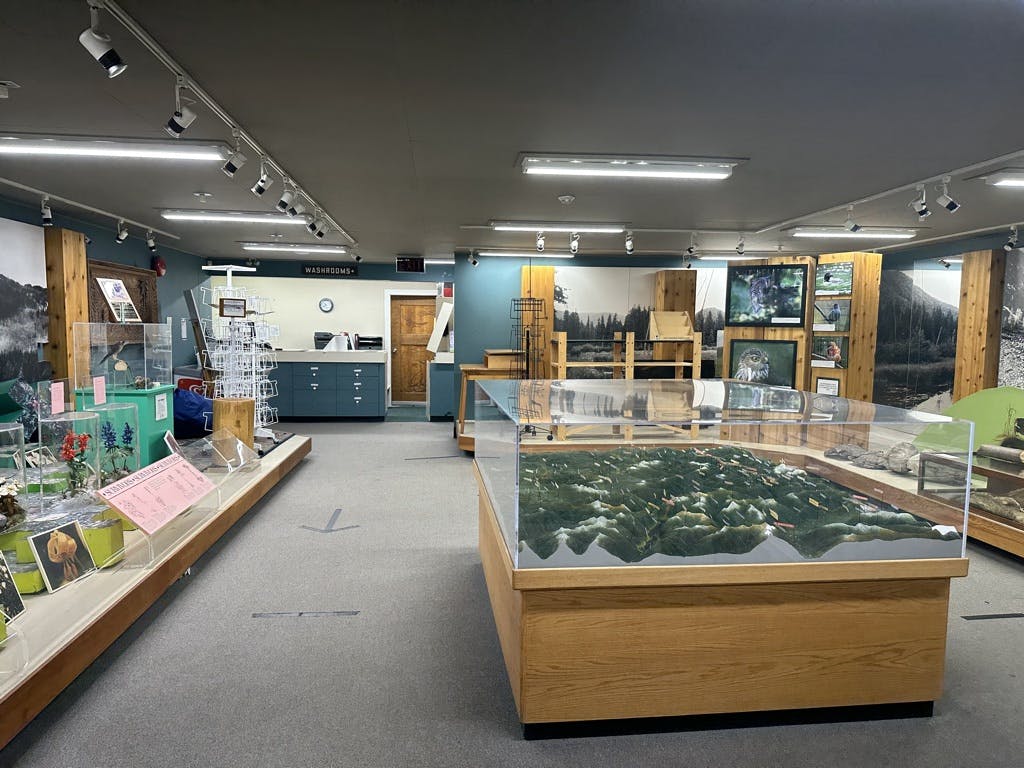 E.C. Manning Provincial Park Visitor Centre - Exhibits.jpeg