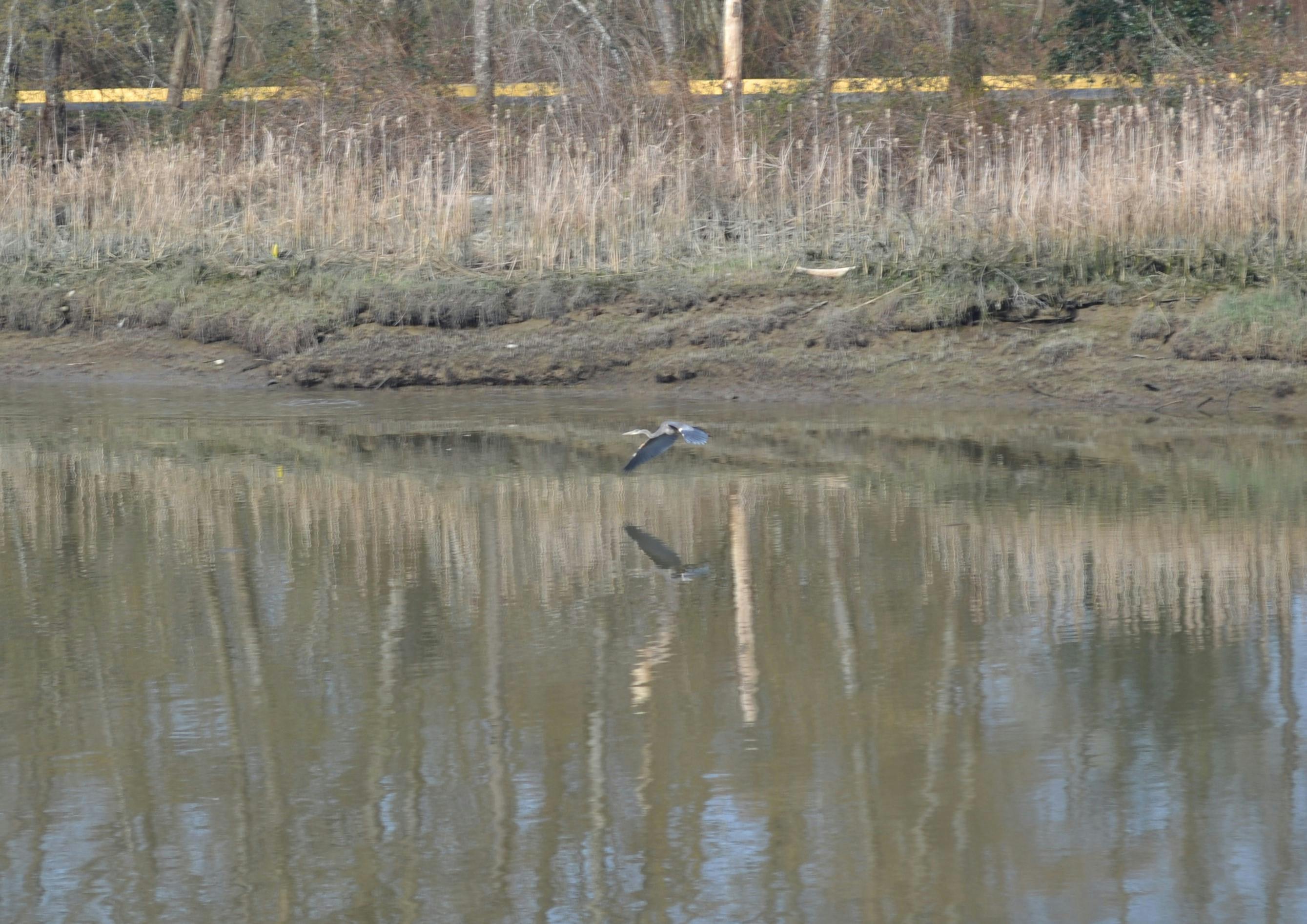 Brennen Carroll - Youth