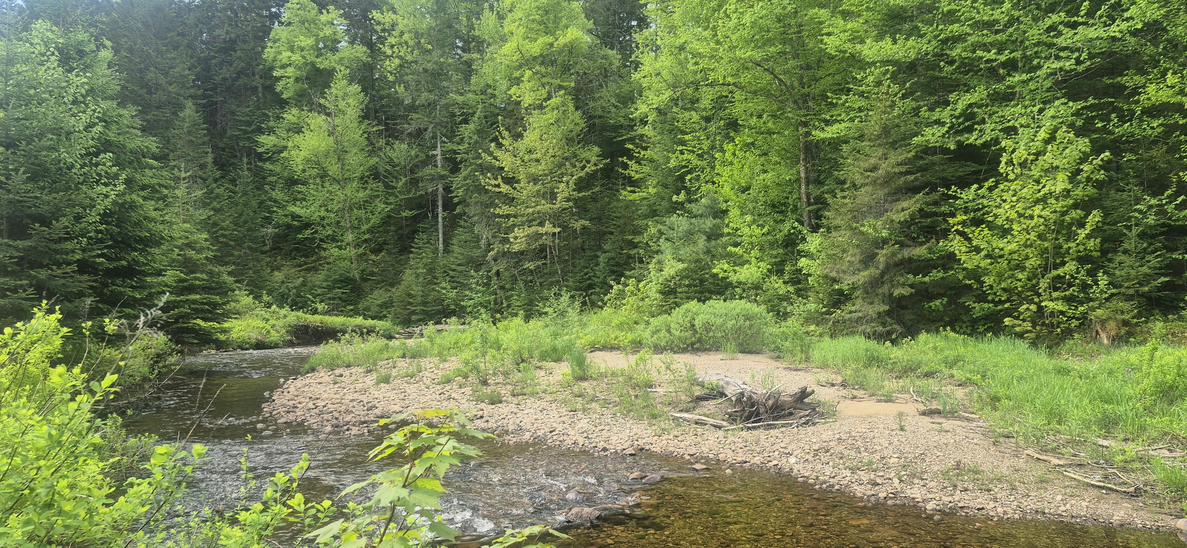 Copie de _20260605_091442.jpg