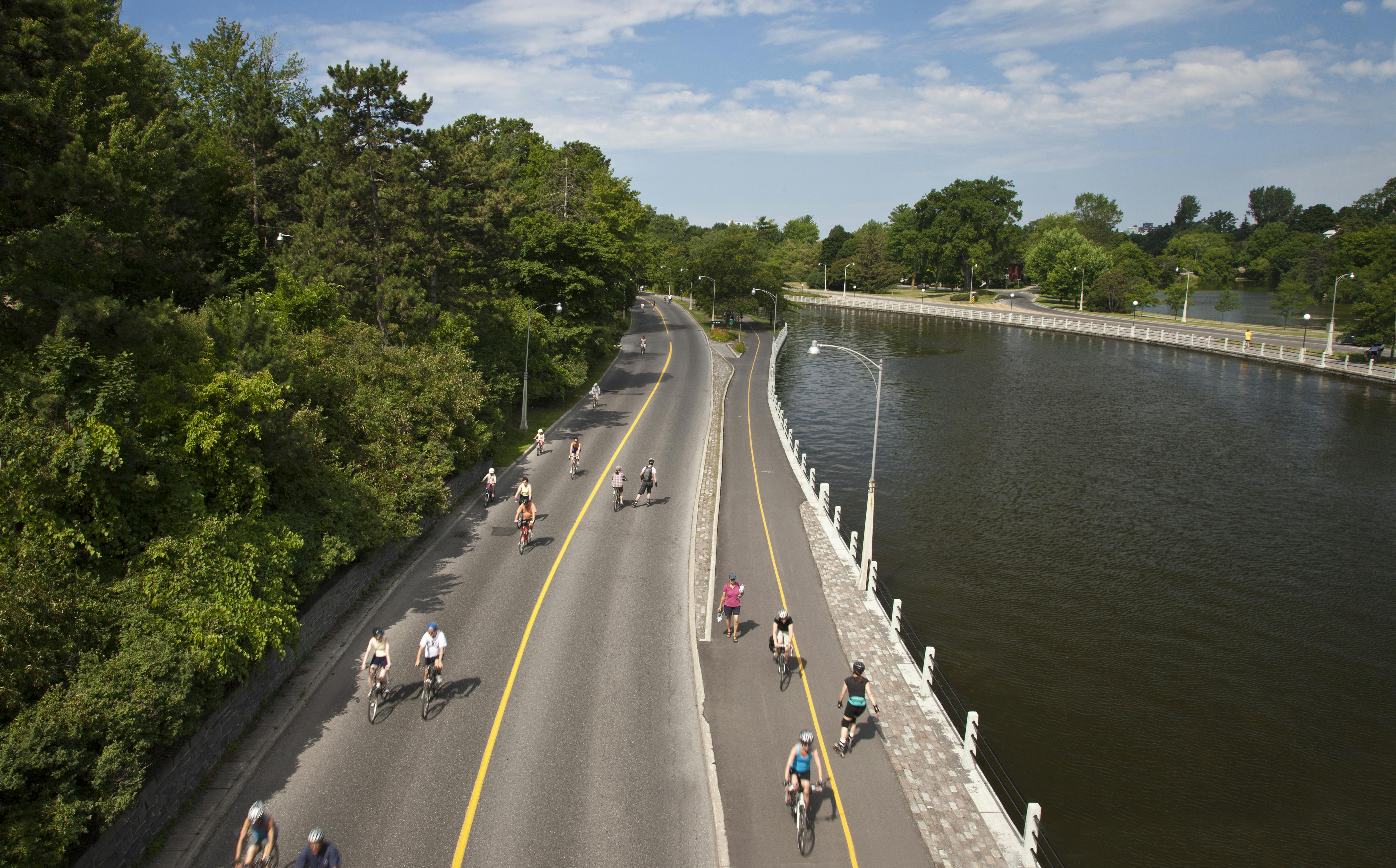 Cyclists biking along the Rideau Canal
