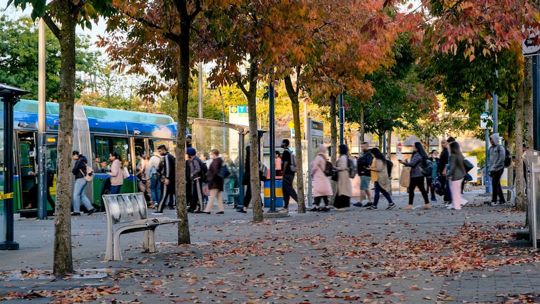 A long line of passengers waiting to board a crowded bus on a sunny autumn day
