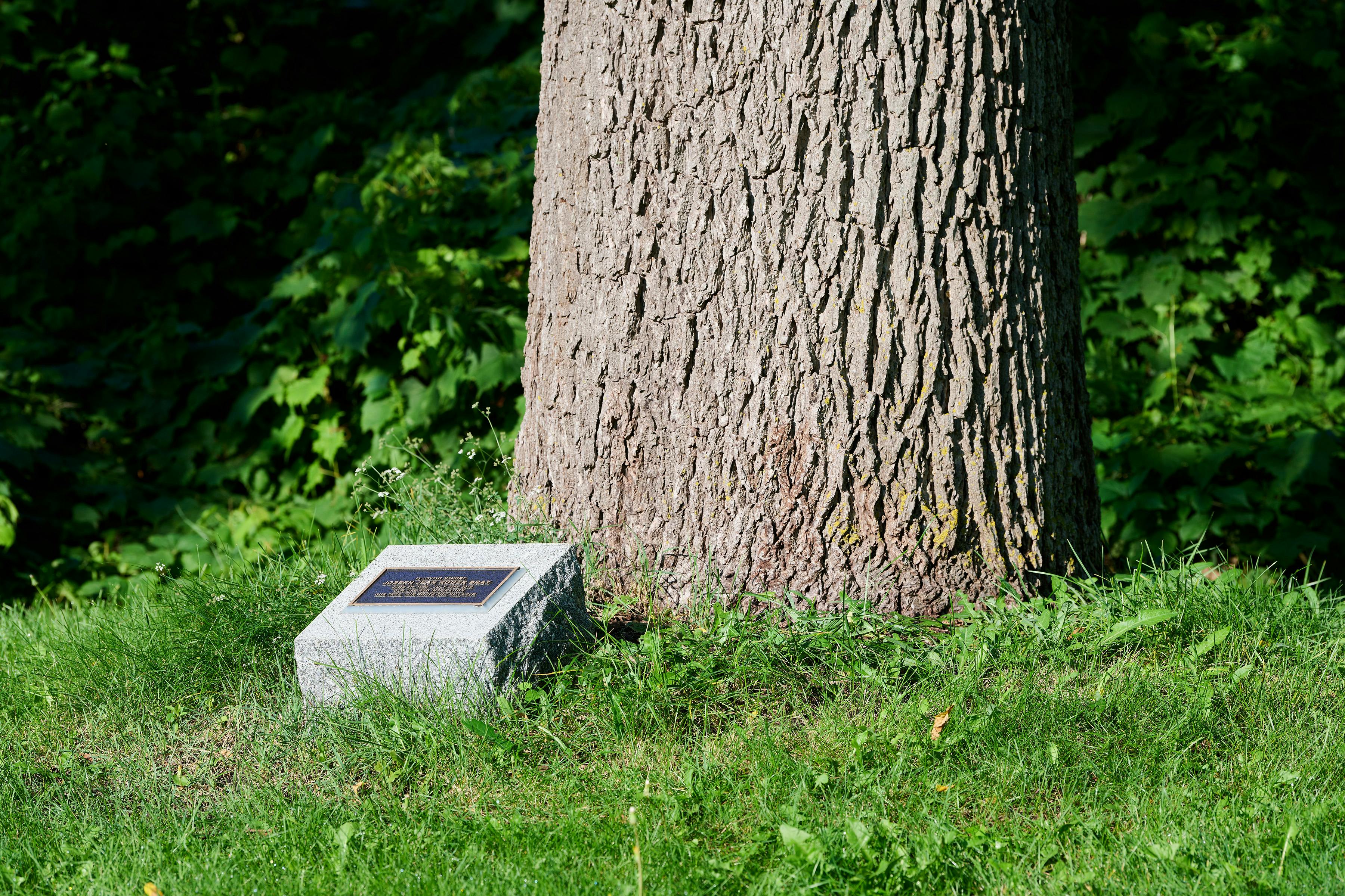 Lot service program - commemorative plaque