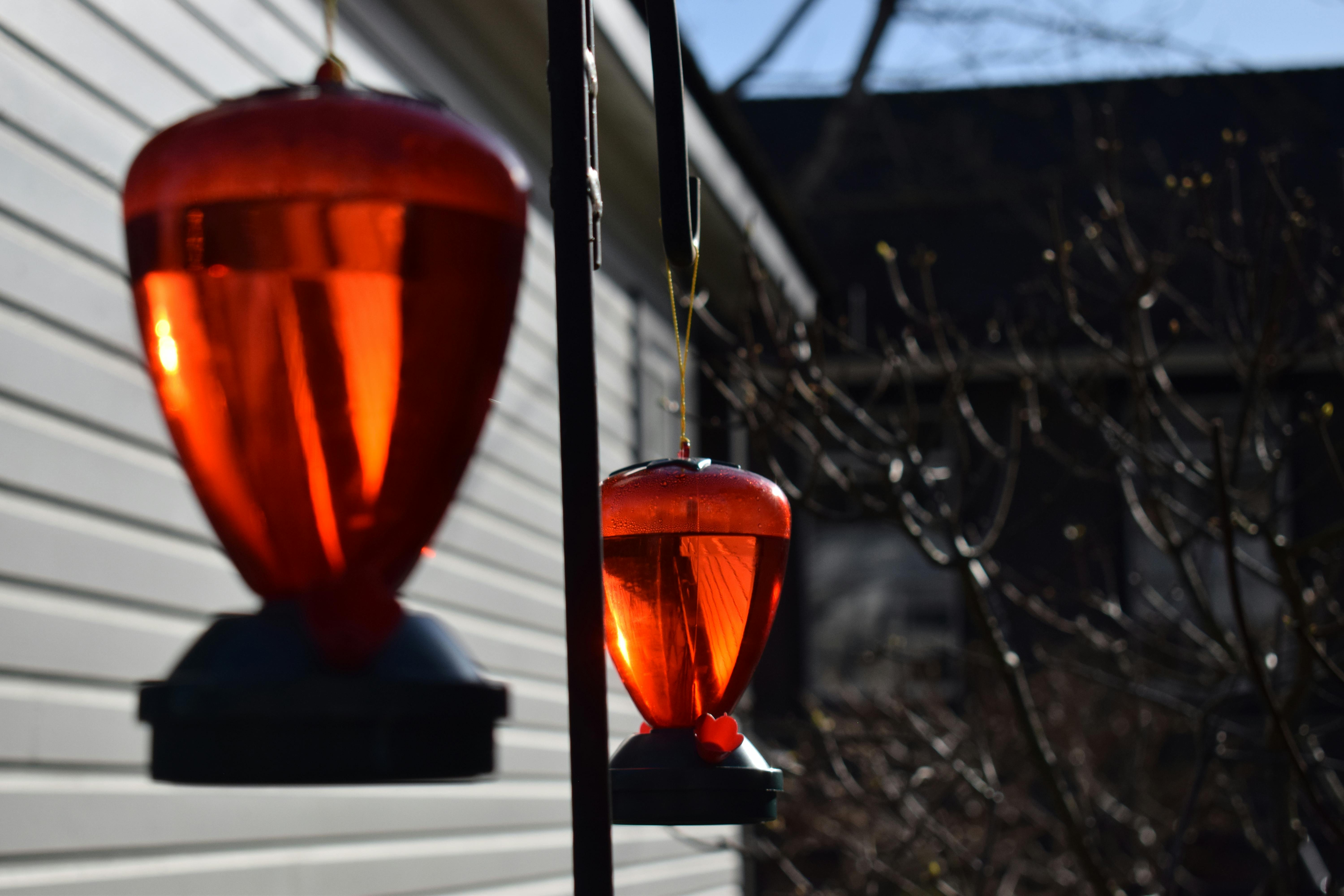 Humming Bird Feeders