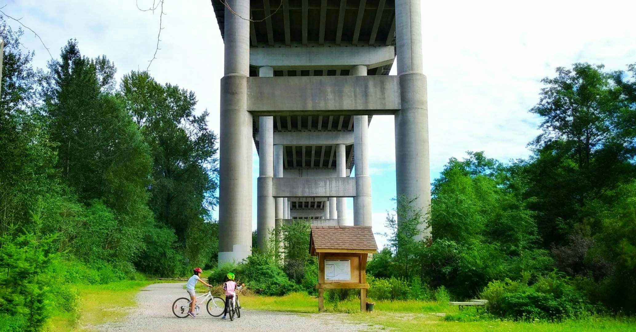Discovering Burns Bog Reserve