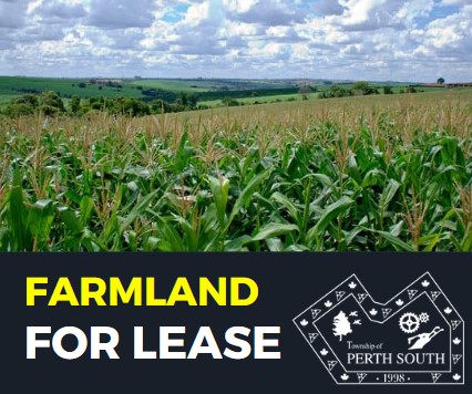 Get Involved Perth South