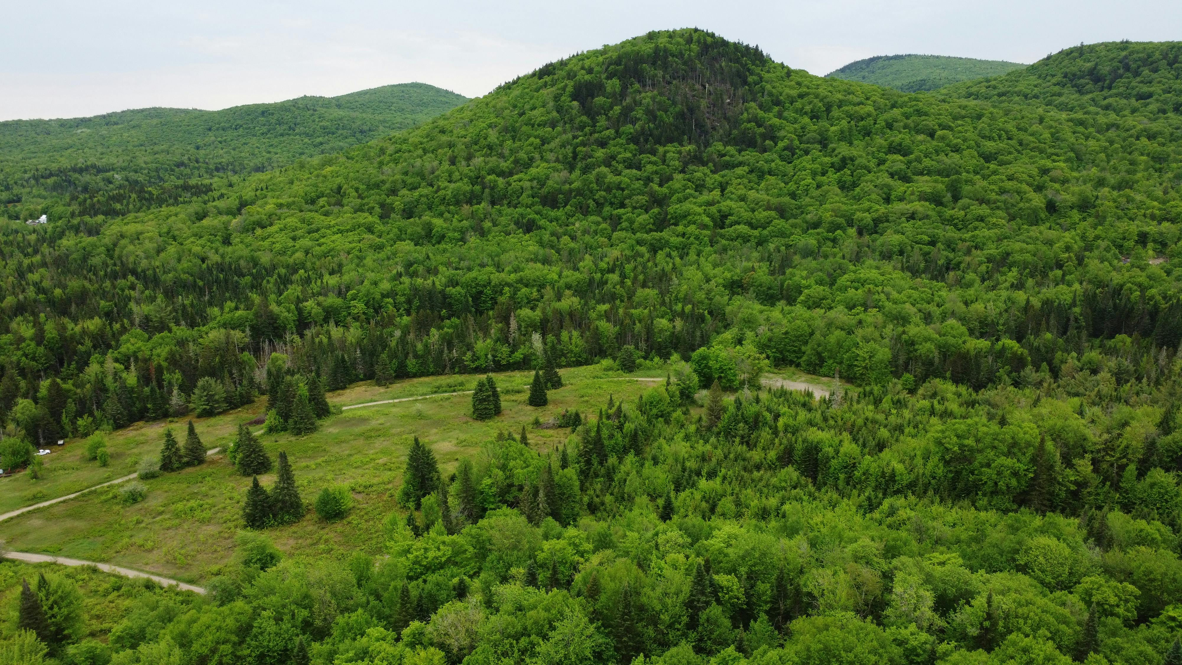 _DJI_0654.JPG