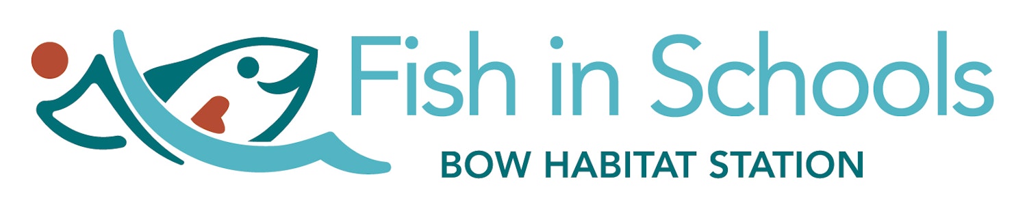 Fish in Schools