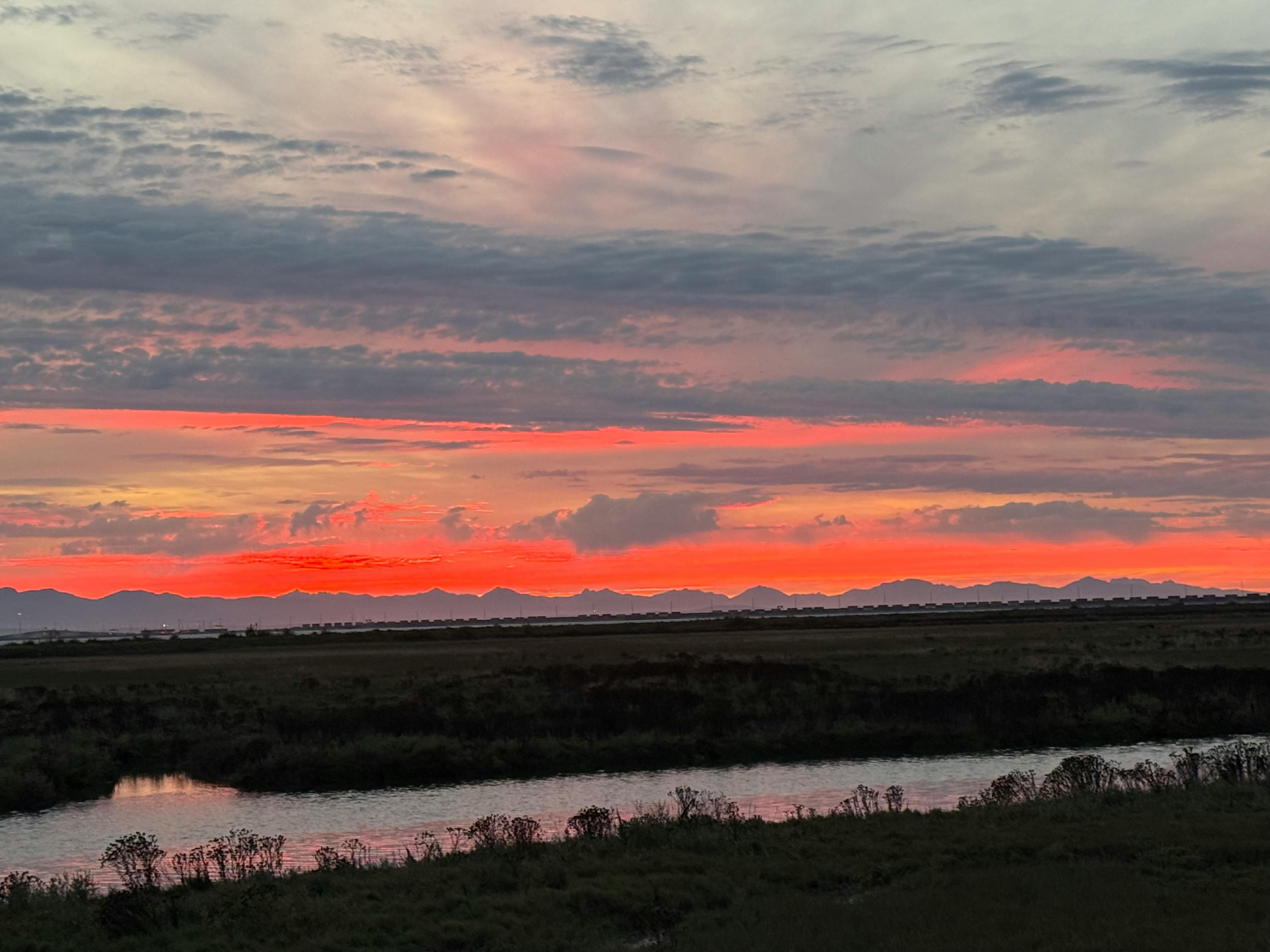 Charley Sayce - Youth