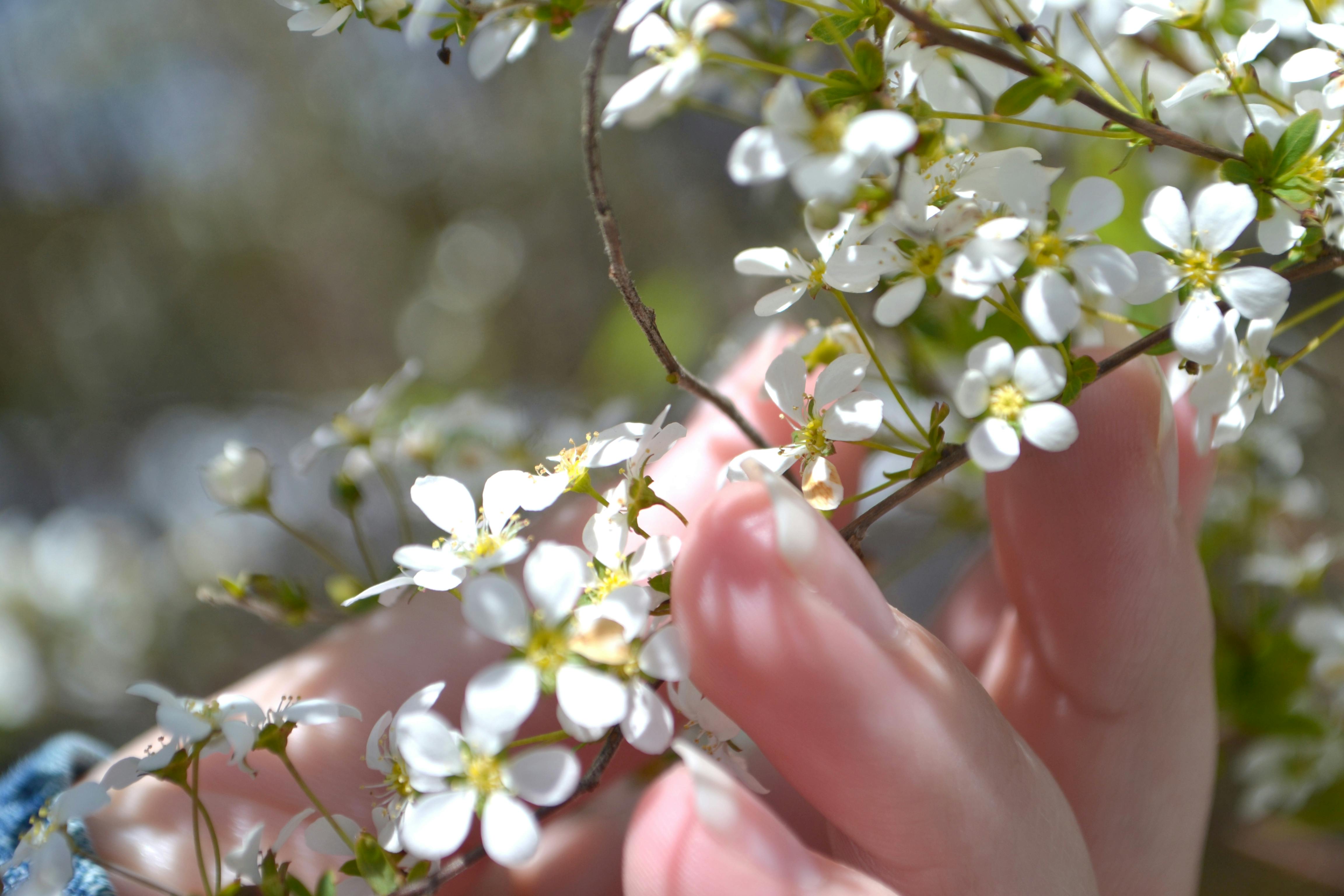 Aren't You Beautiful!