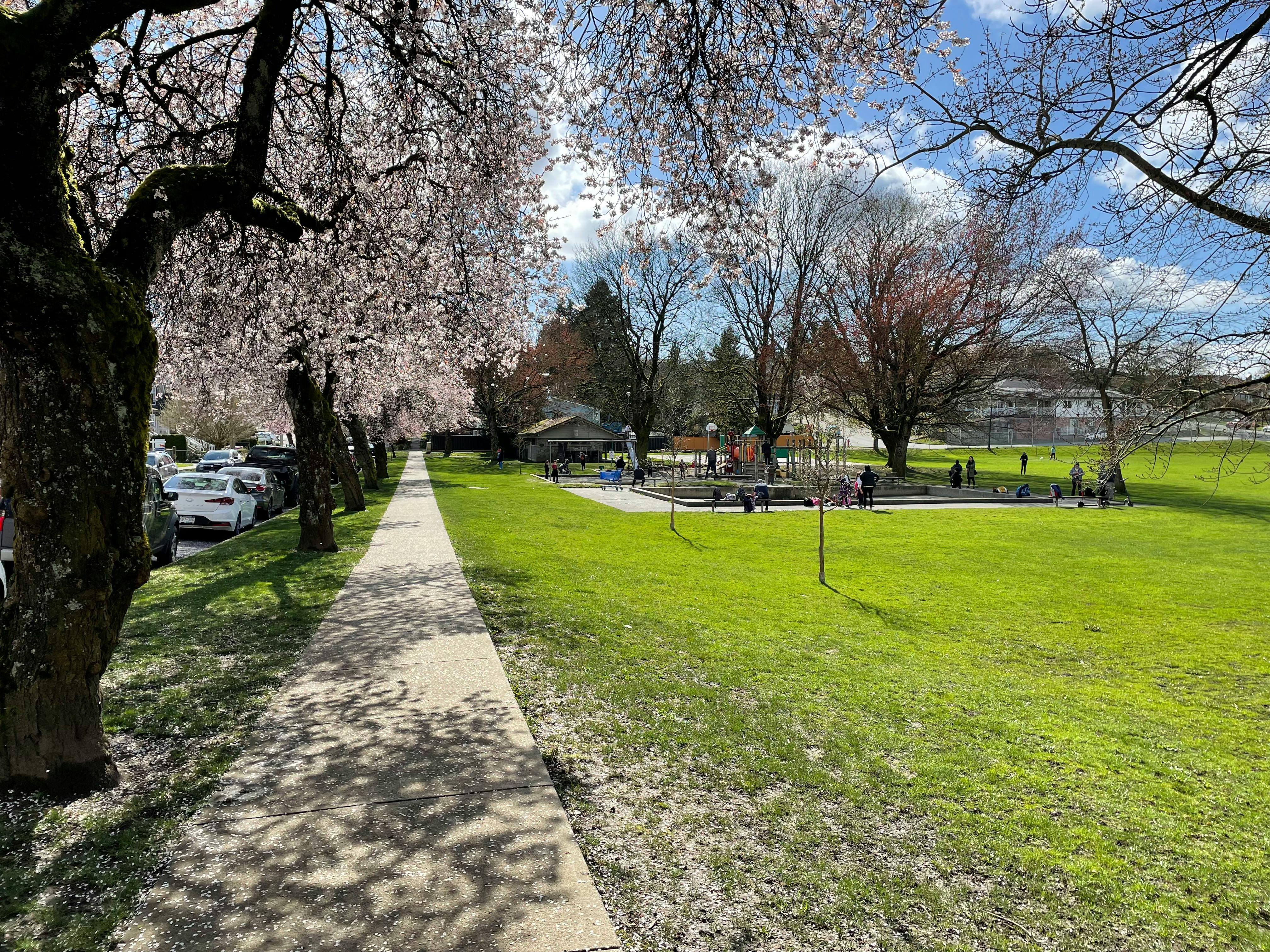 Collingwood Park - existing east edge condition along McKinnon Street