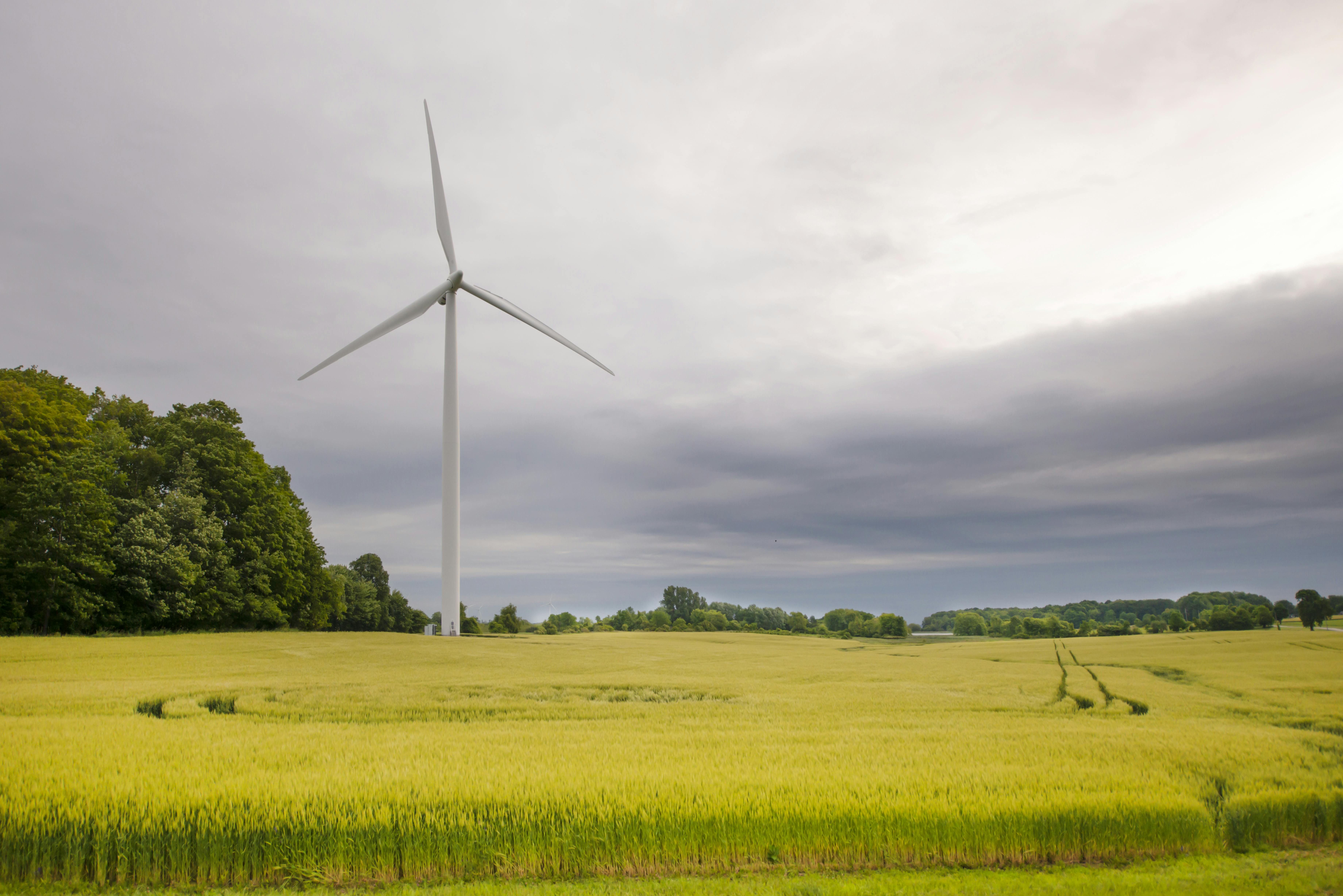 Windmill Wolfe Island.jpg