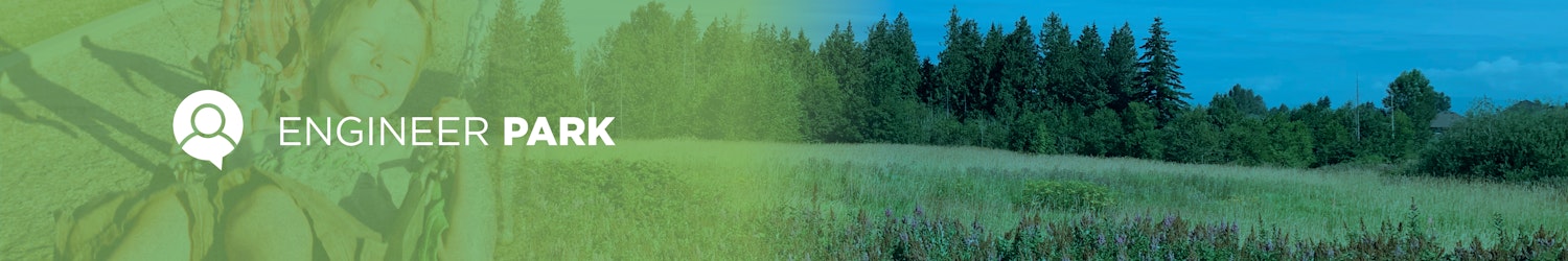 project banner