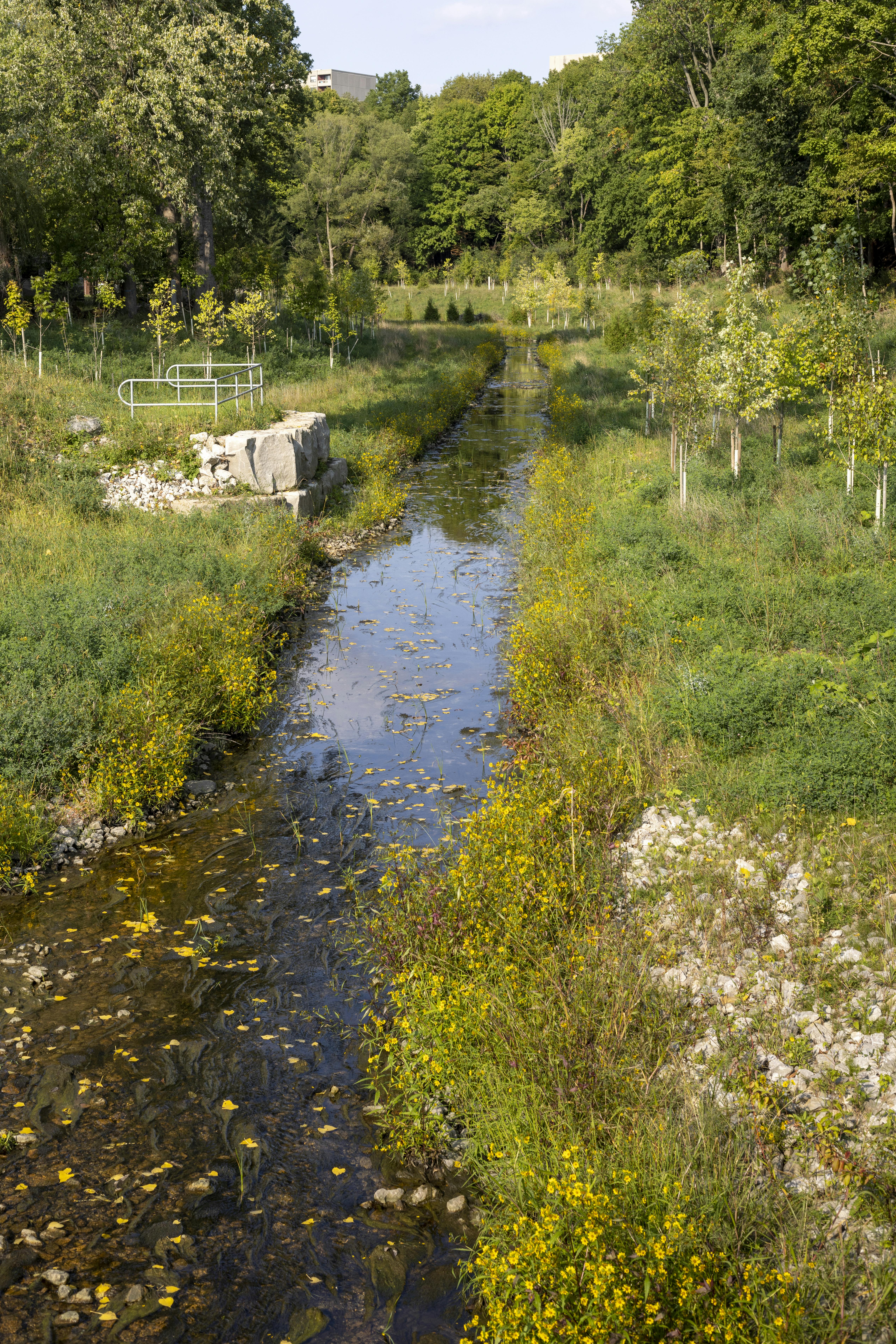 This photo shows Mud Creek after improvements were made as part of Phase 1 of the project.