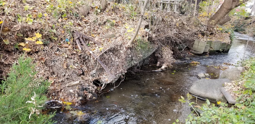 Photo of four mile creek erosion issues