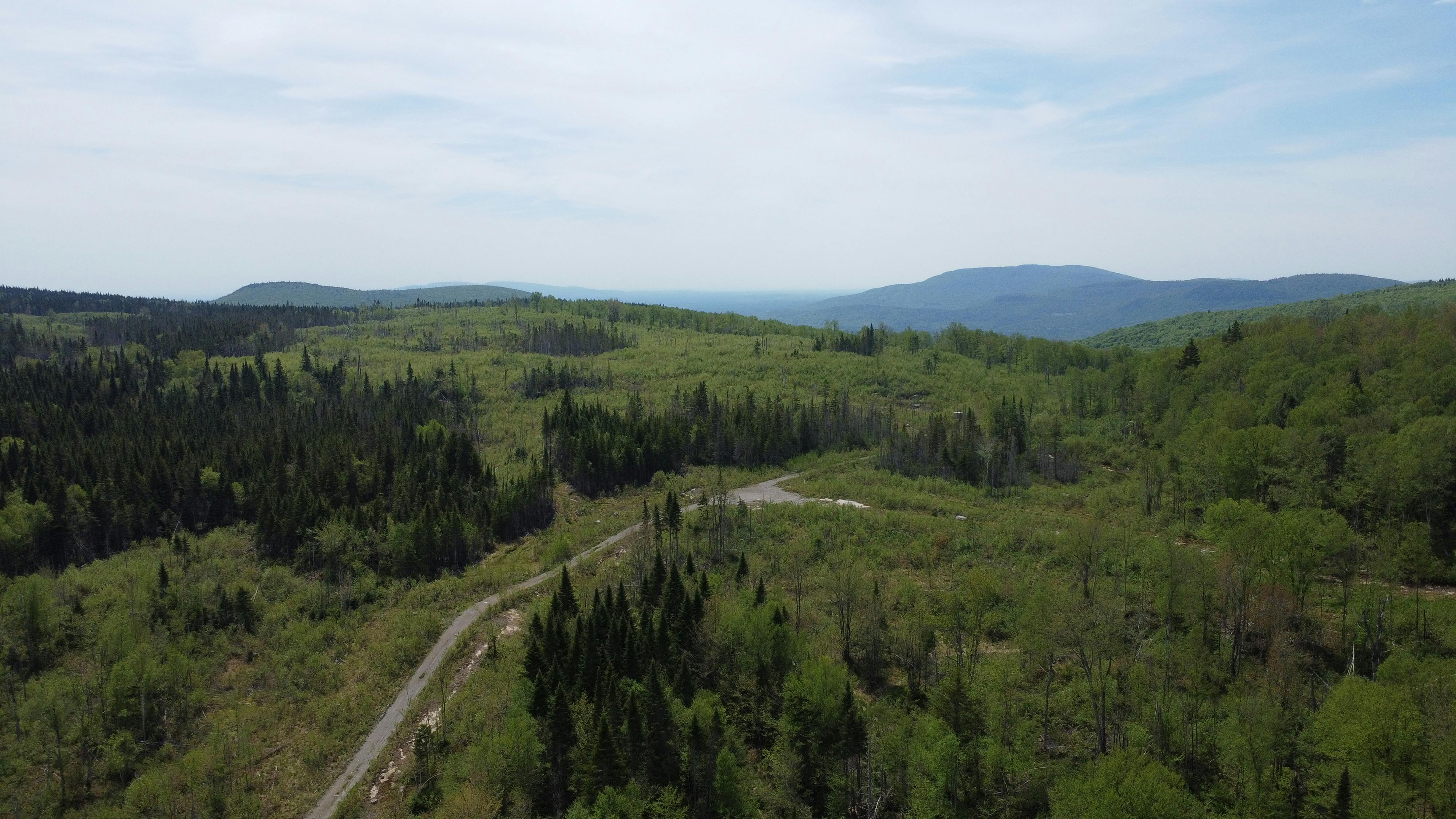 _DJI_0528.JPG