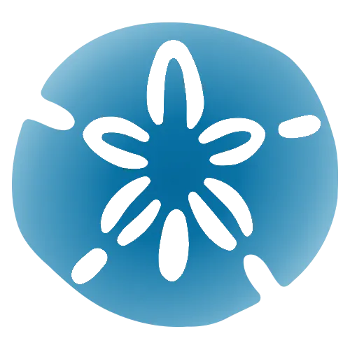 Team member, Administration